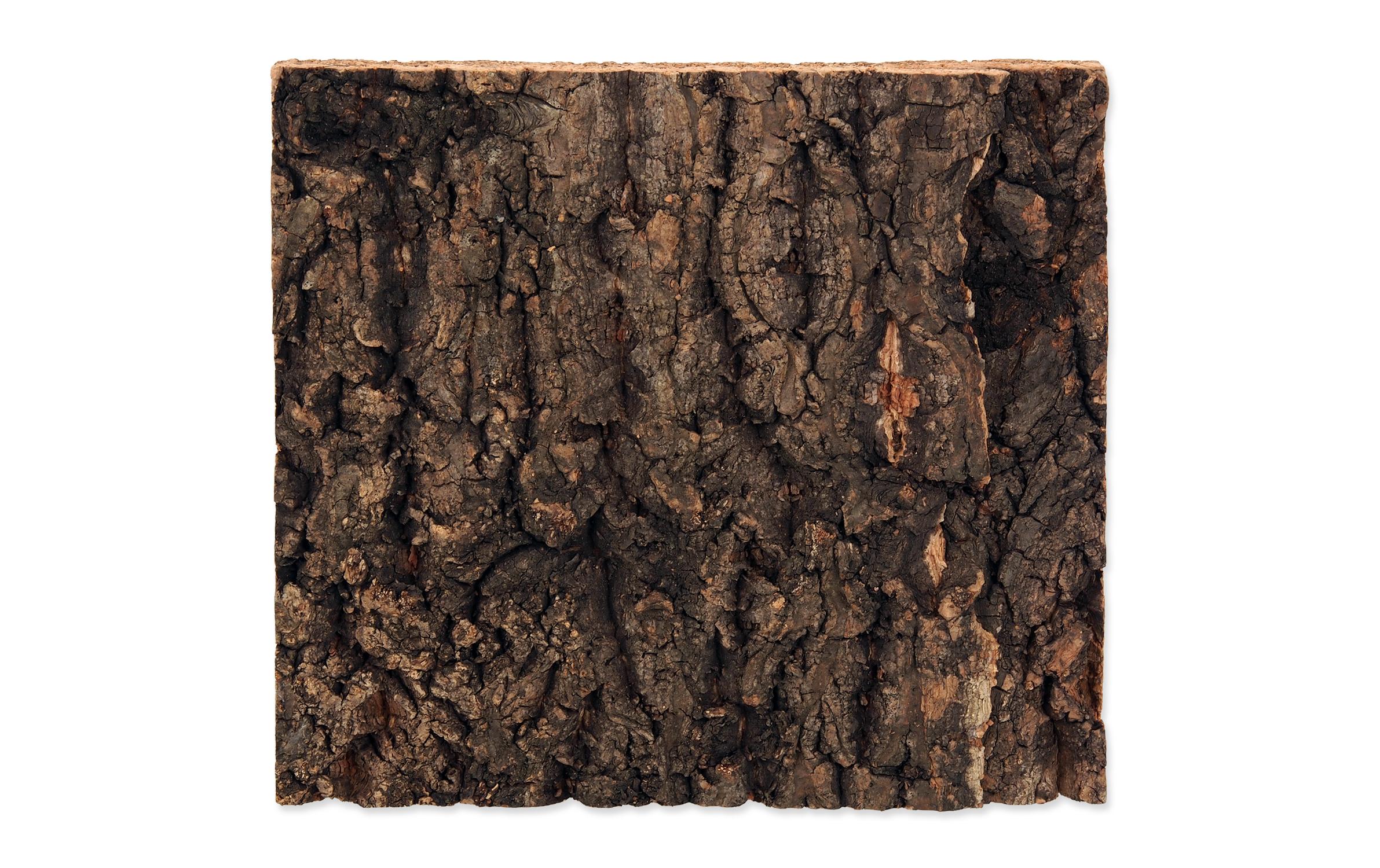 Repti Planet Kork-Rück Wand 19 x 17.3 x 2 cm
