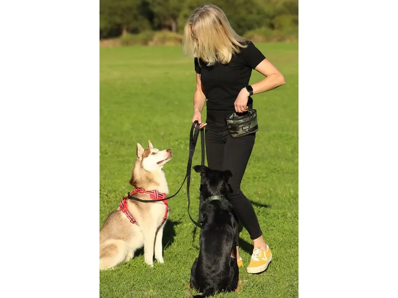 Doog Foodbag Treat Pouch L Camouflage