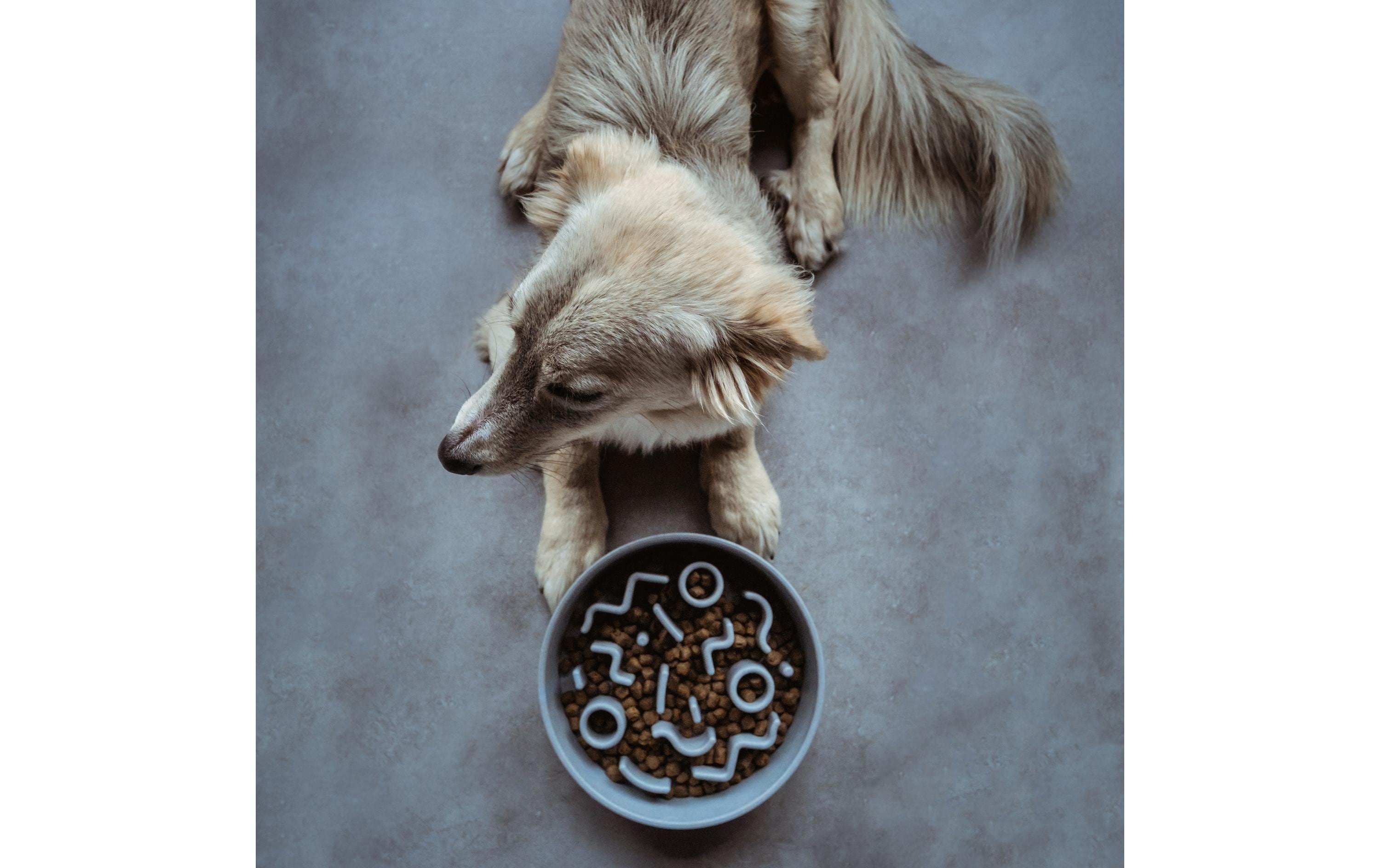 District 70 Bambusnapf Bamboo Dog Slow Feeder Ø 28 cm, Ice-Blue