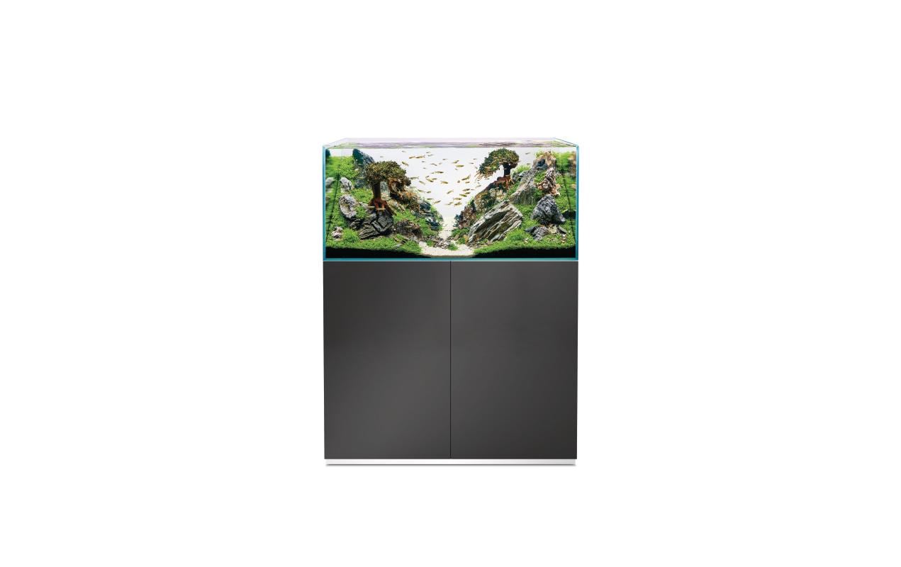 OASE Aquarienkombination ScaperLine 100, Grau, 250 l