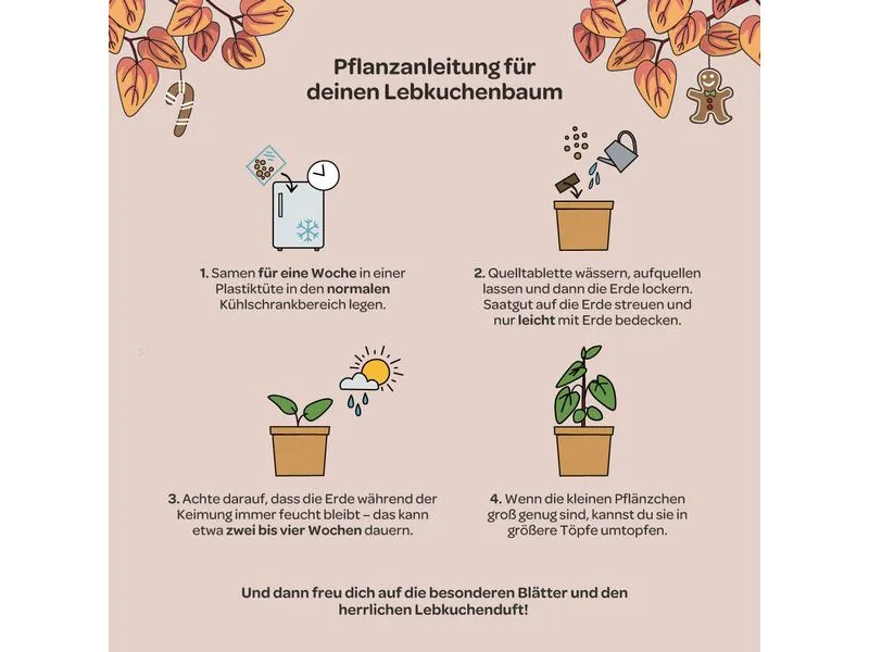 Die Stadtgärtner Lebkuchenbaum Braun Quadratisch Papier Die Stadtgärtner Lebkuchenbaum Braun Quadratisch Papier