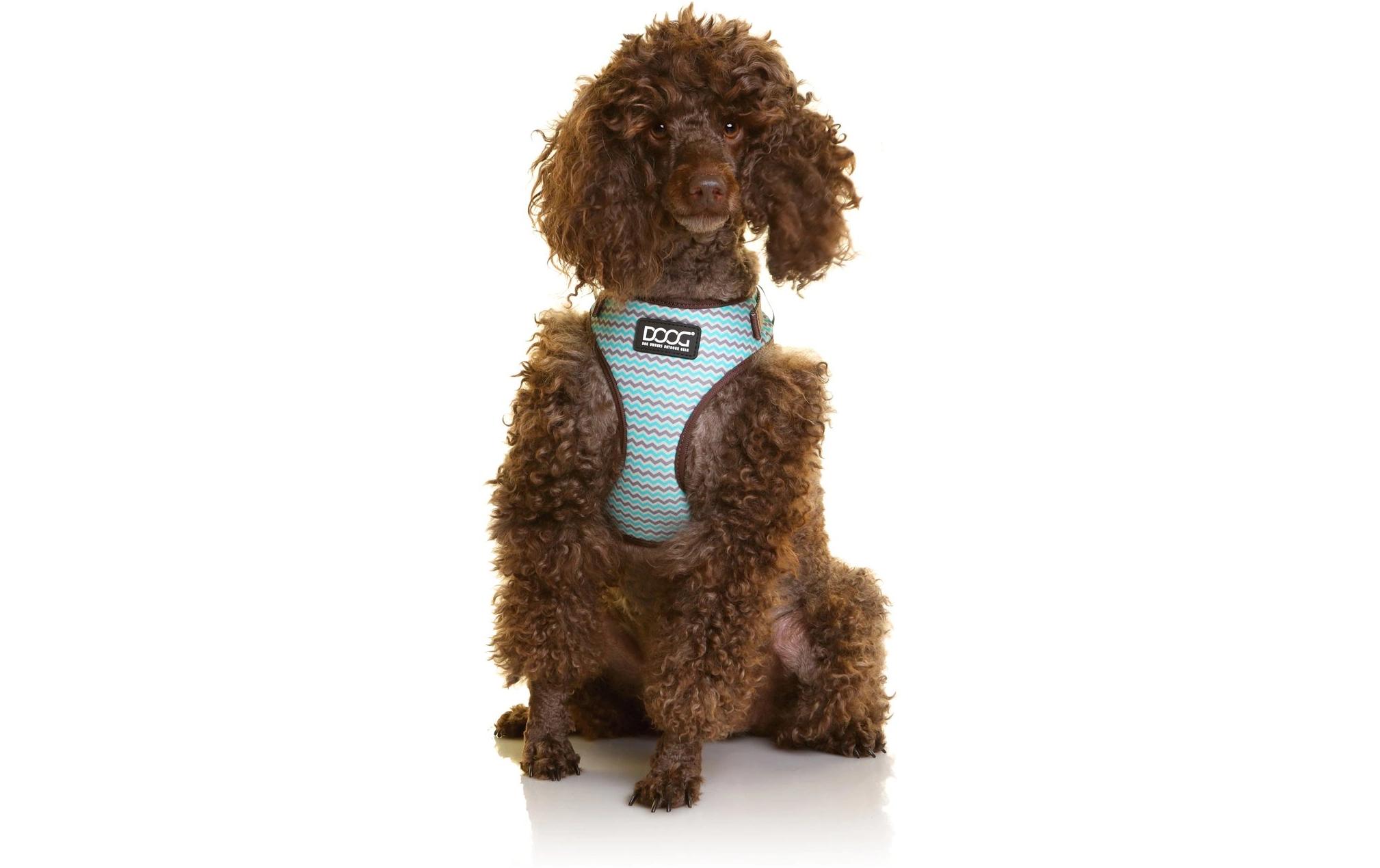 Doog Geschirr Neoflex Benji S Braun / Blau