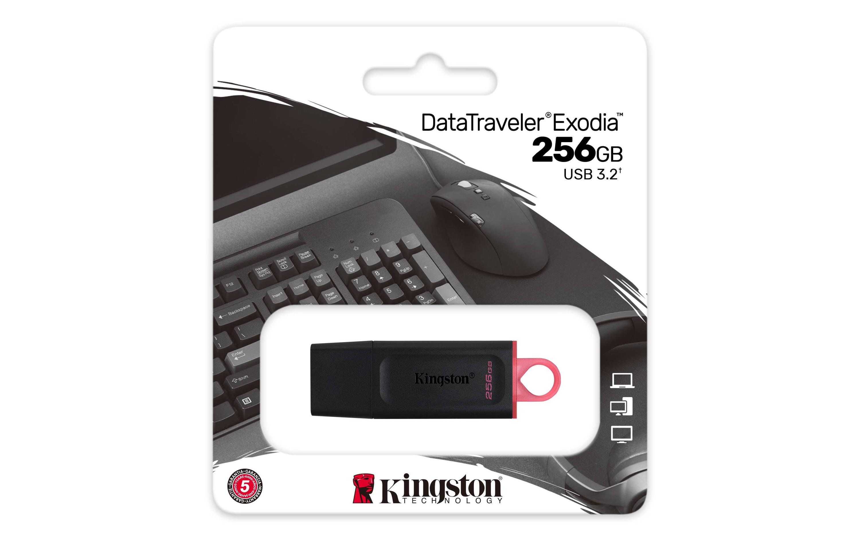 Kingston USB-Stick DataTraveler Exodia 256 GB