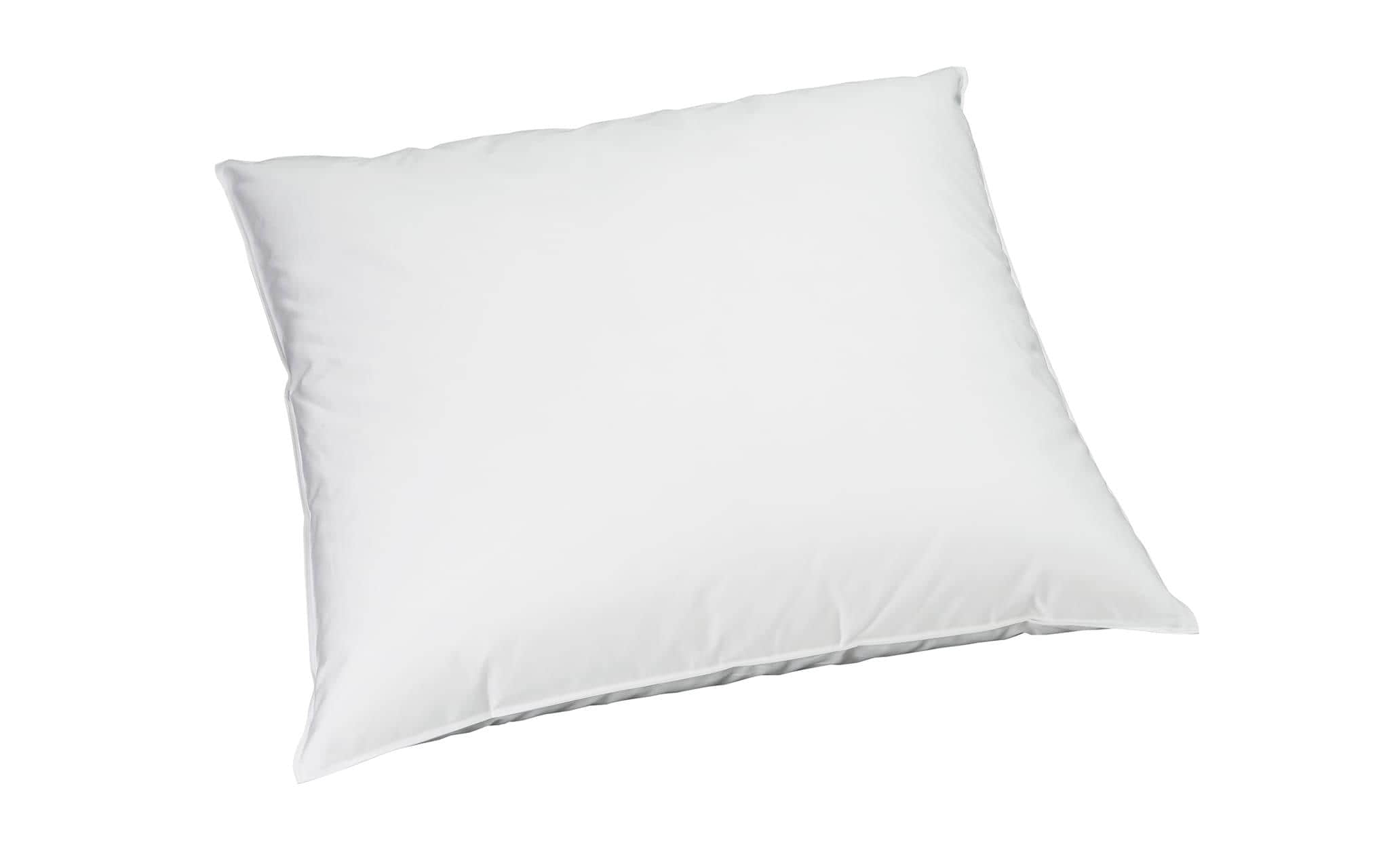 Billerbeck Klassisches Kopfkissen Recycled Goose Soft Plus 65 x 65 cm