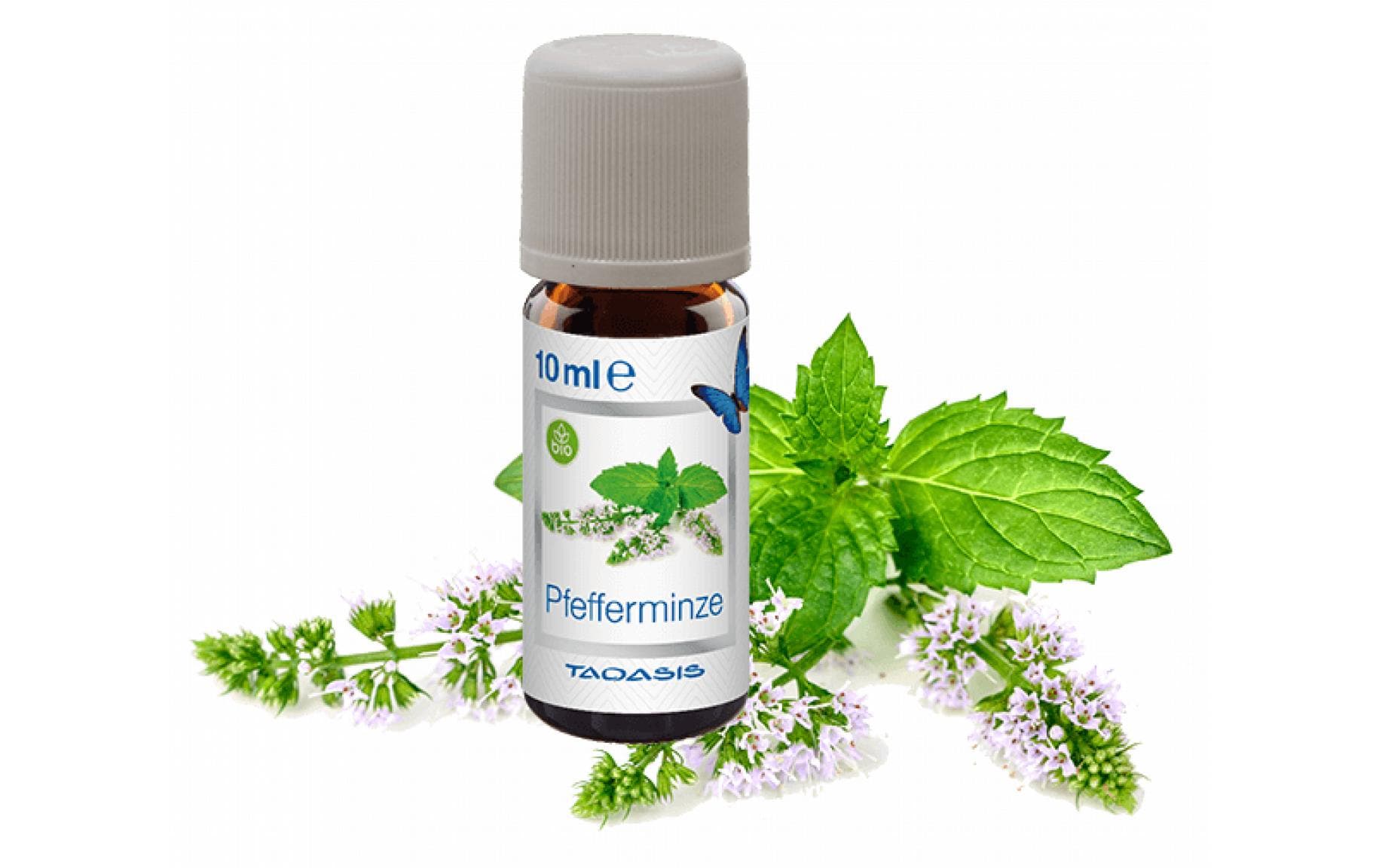 Venta Luftwäscher Duftöl Pfefferminze, 3 x 10 ml