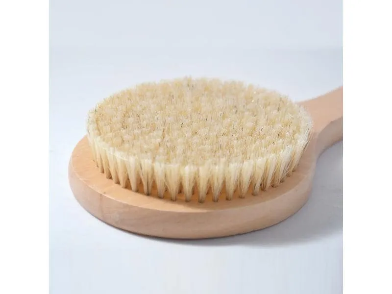 MSV Körperbürste mit langem Stiel 41 cm, Braun MSV Körperbürste mit langem Stiel 41 cm, Braun