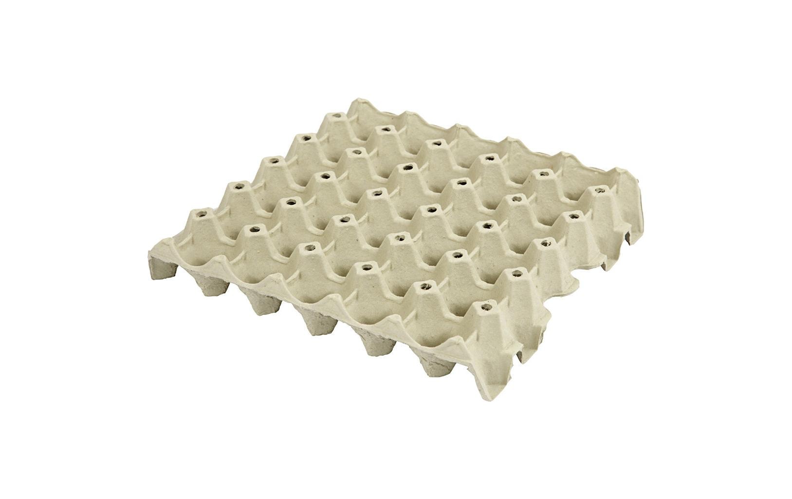 Creativ Company Papp-Schachtel Eier 29 x 29 x 4 cm 20 Stück Creativ Company Papp-Schachtel Eier 29 x 29 x 4 cm 20 Stück