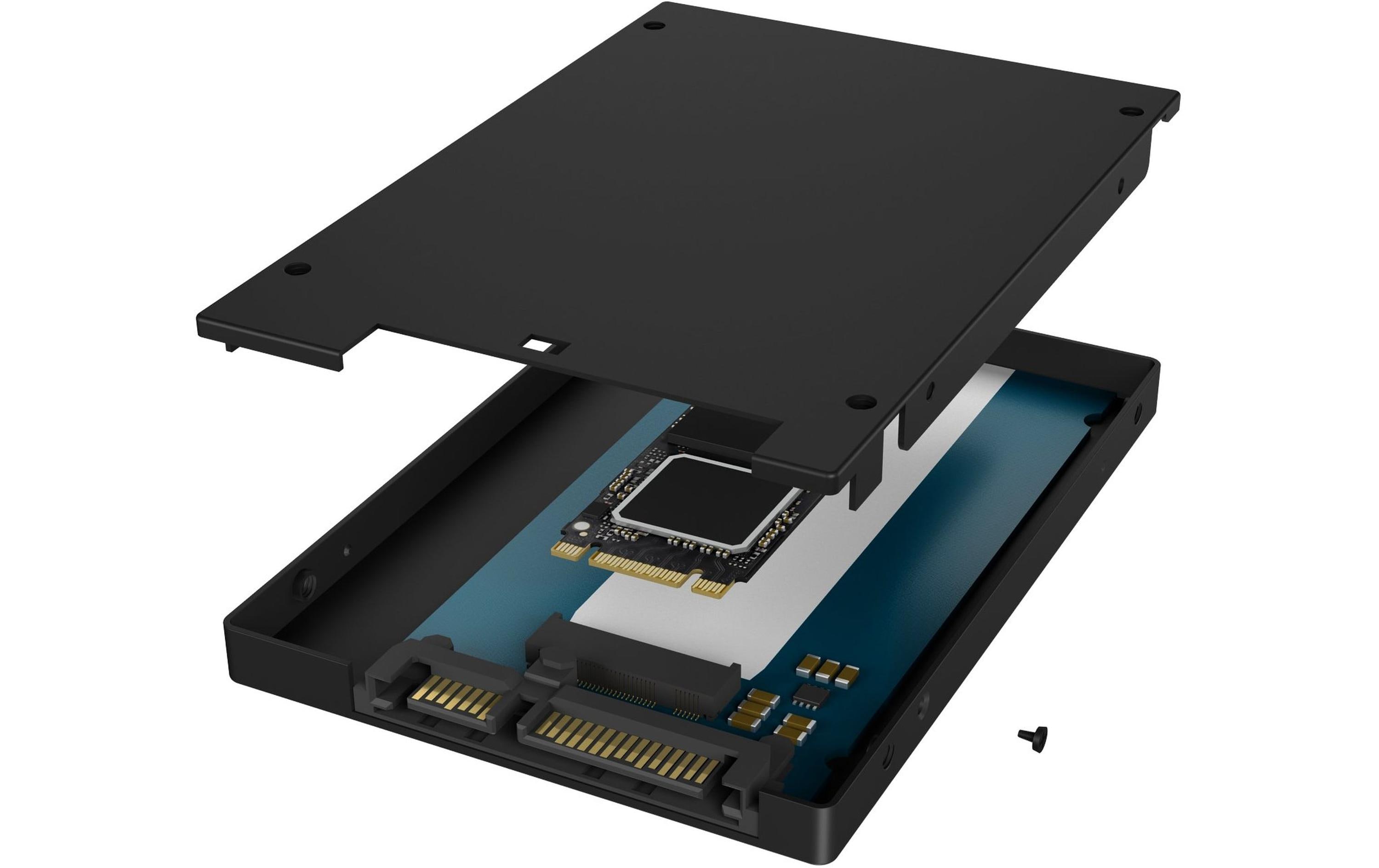 ICY BOX IB-M2S253 ICY BOX IB-M2S253