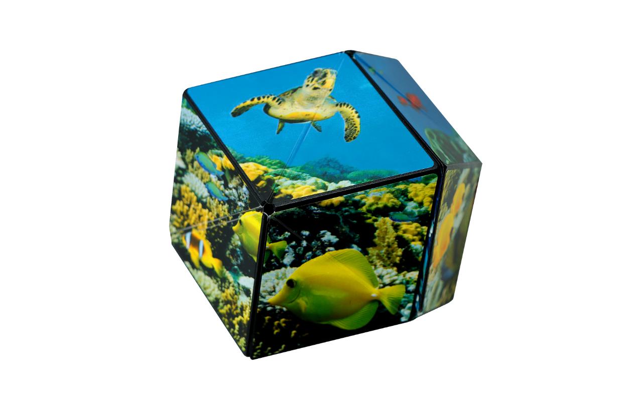 Shashibo Shashibo Cube Undersea