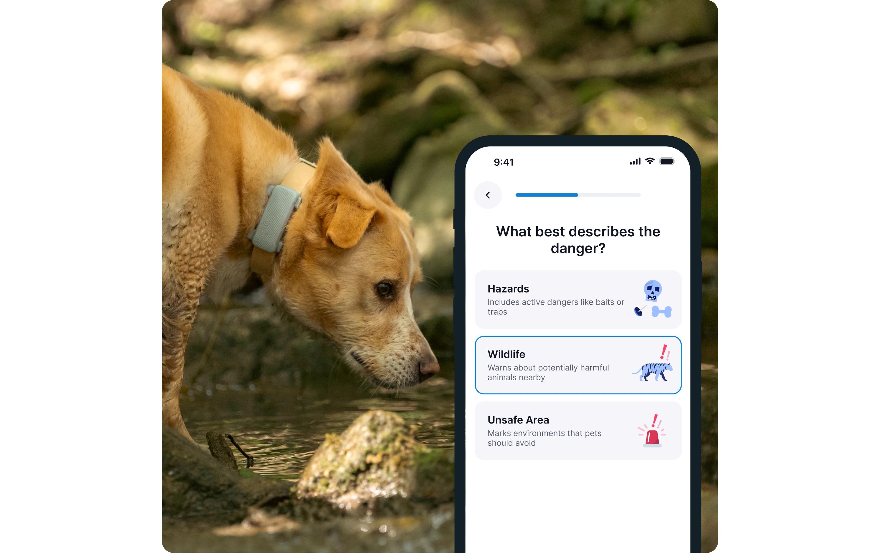 tractive GPS-Tracker DOG 6 Mint