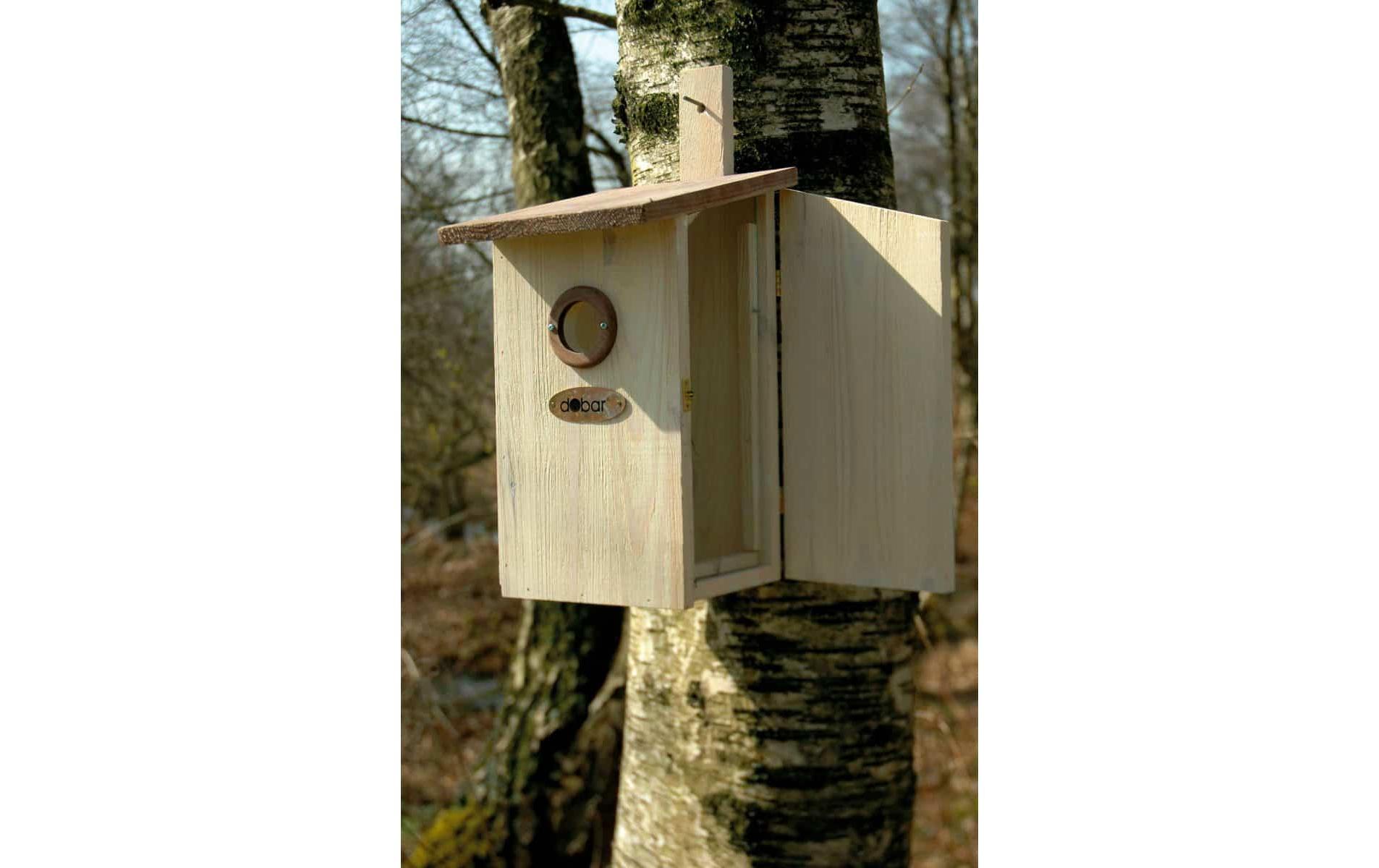 dobar Beobachtungskasten Einblick, 17 x 23 x 39 cm, Braun