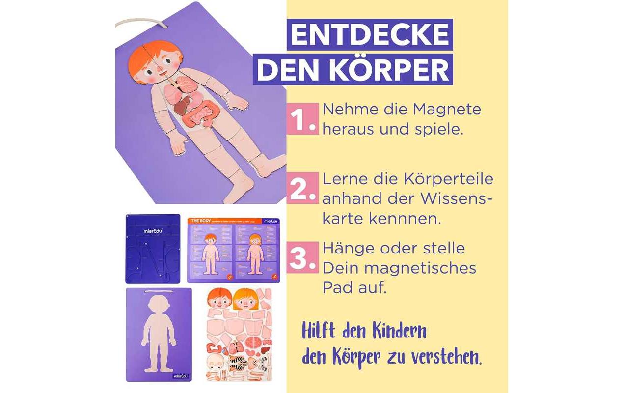 mierEdu Kinderspiel Magnet Pad – Menschliche Anatomie