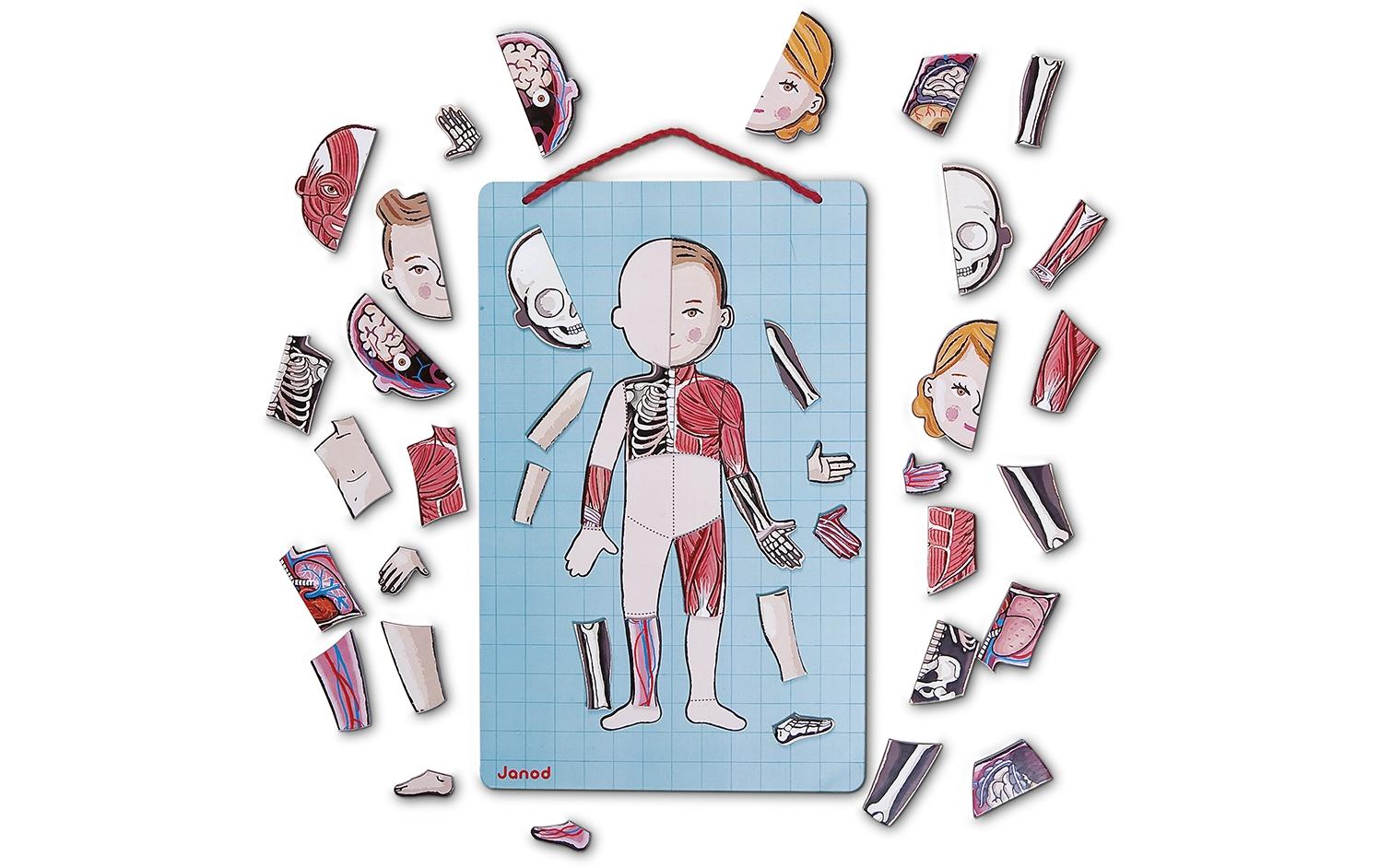 Janod Kinderspiel Magnetspiel Körper