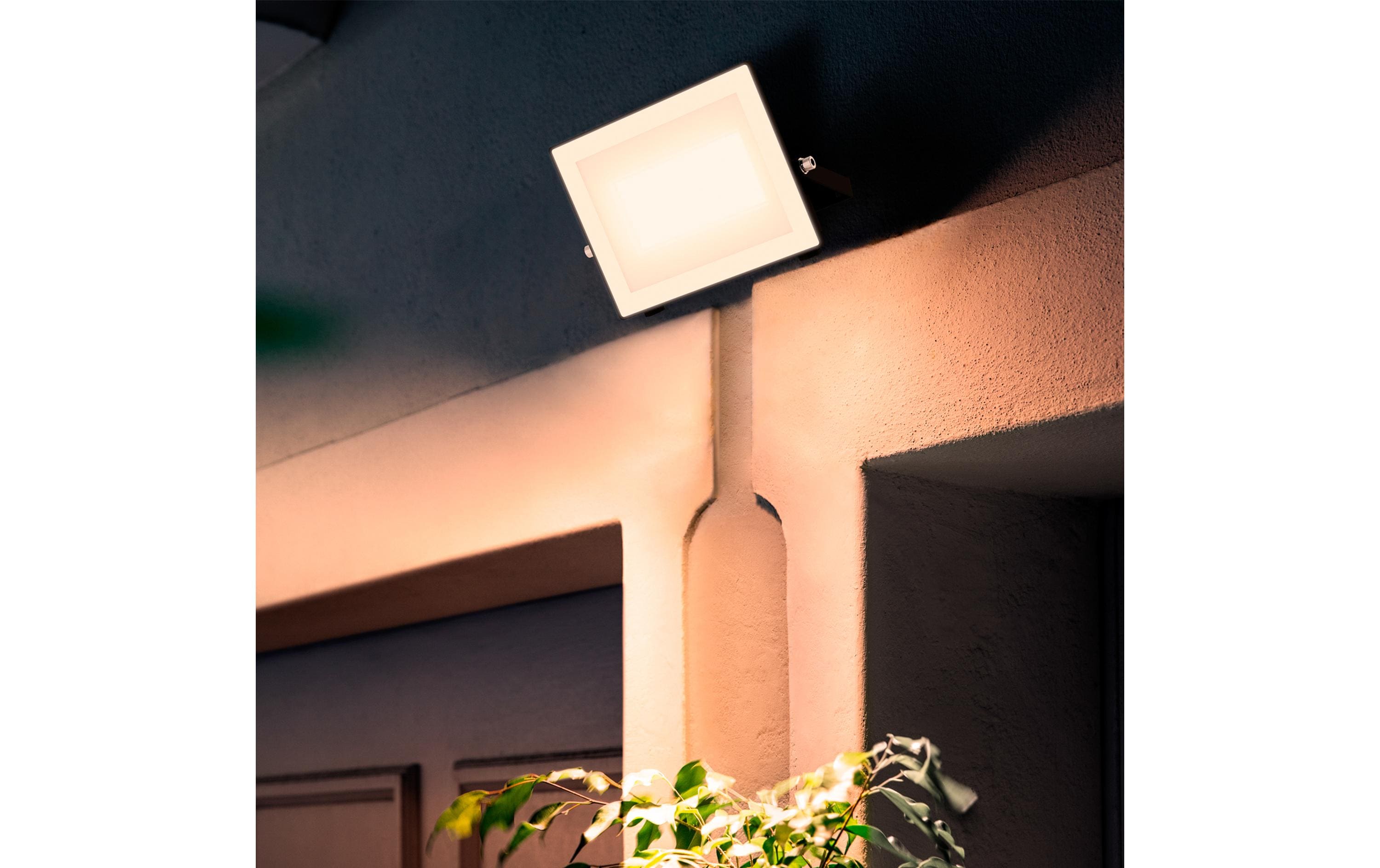 Philips Lois Flutlicht 50W 3000K IP65 schwarz 50 W