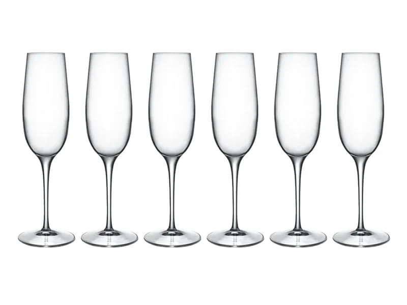 Luigi Bormioli Champagnerglas Palace 23.8 cl, 6 Stück, Transparent Luigi Bormioli Champagnerglas Palace 23.8 cl, 6 Stück, Transparent