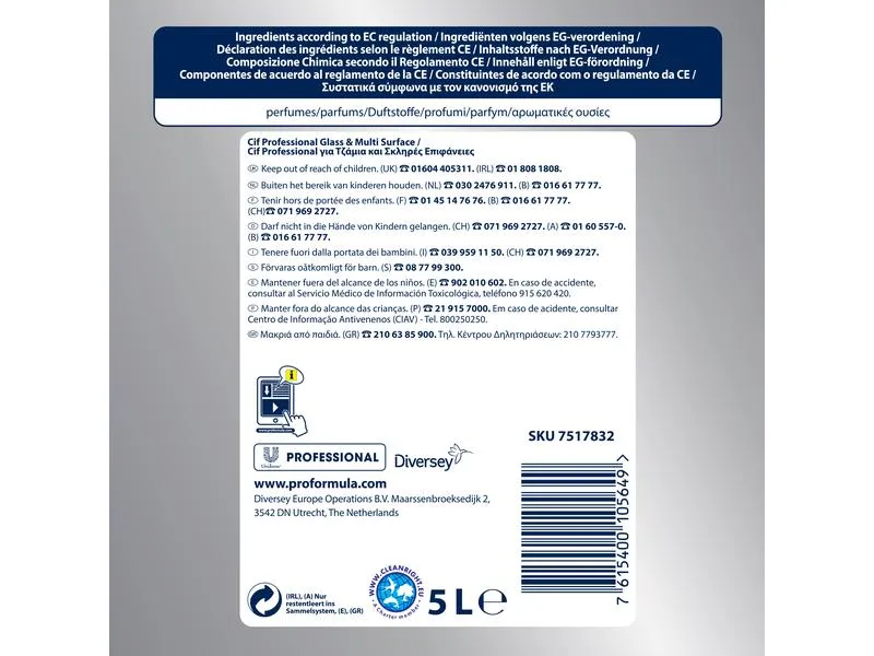Diversey Pro Formula Glasreiniger Professional Diversey Pro Formula Glasreiniger Professional