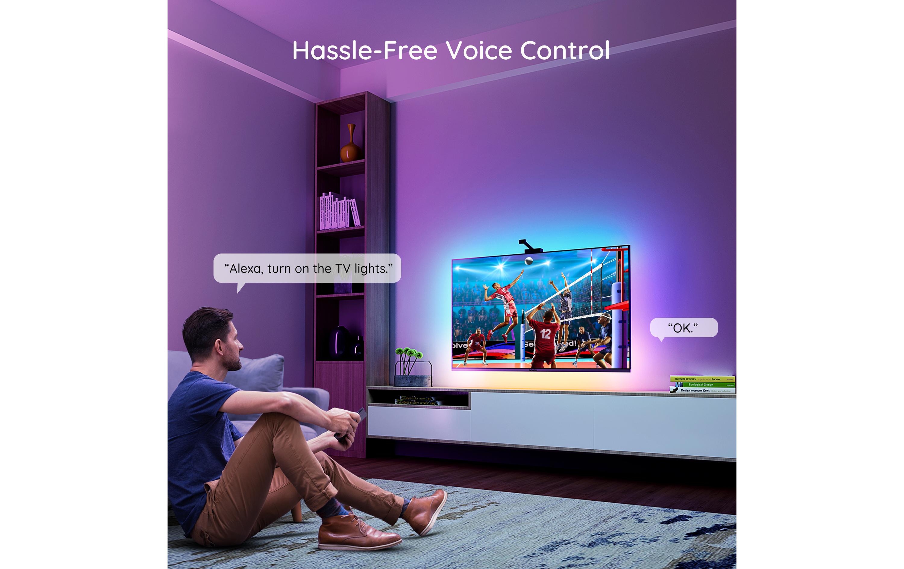 Govee DreamView T1 TV- Light Strips, 75-85