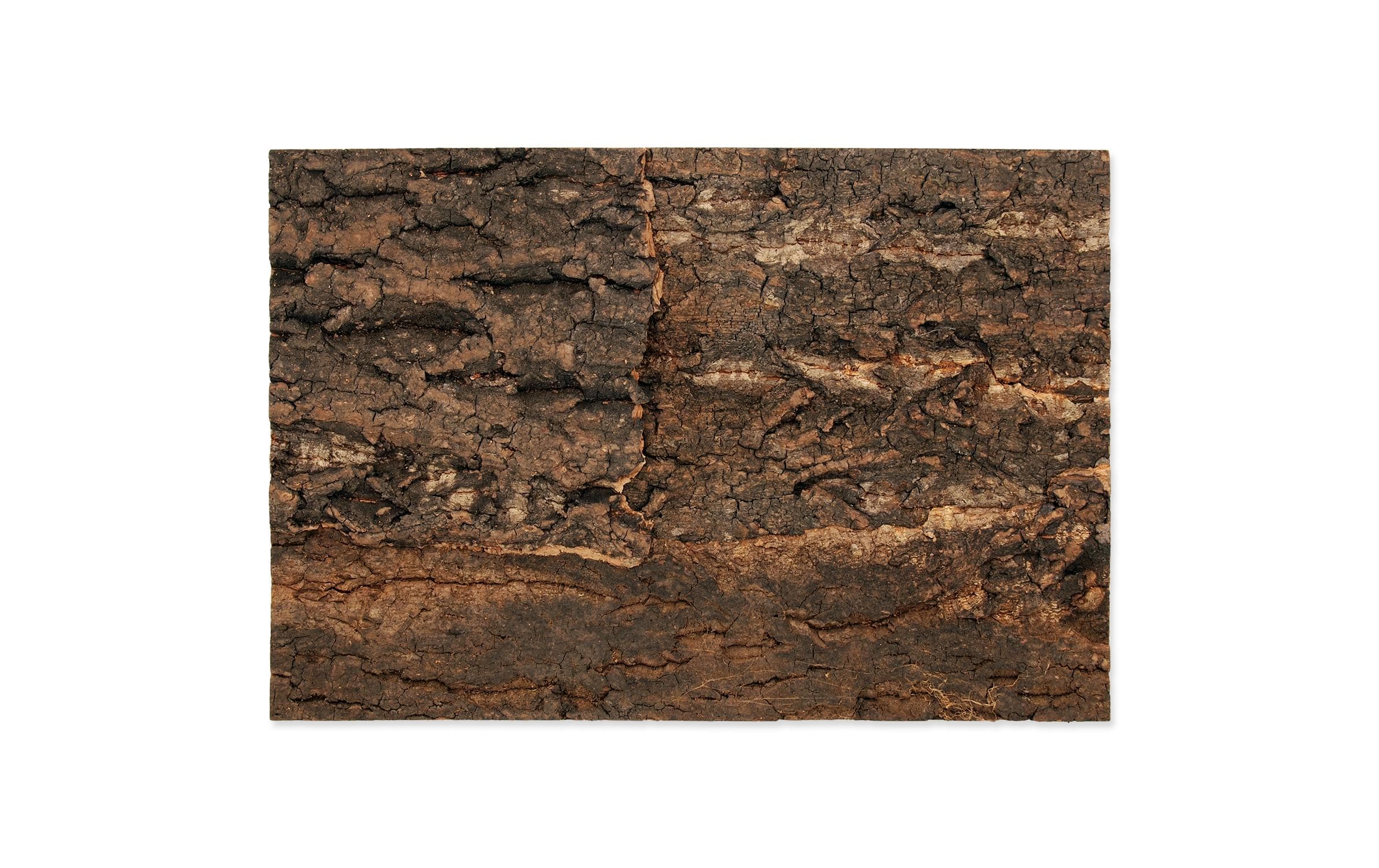 Repti Planet Kork-Rück Wand 28.5 x 41 x 2 cm