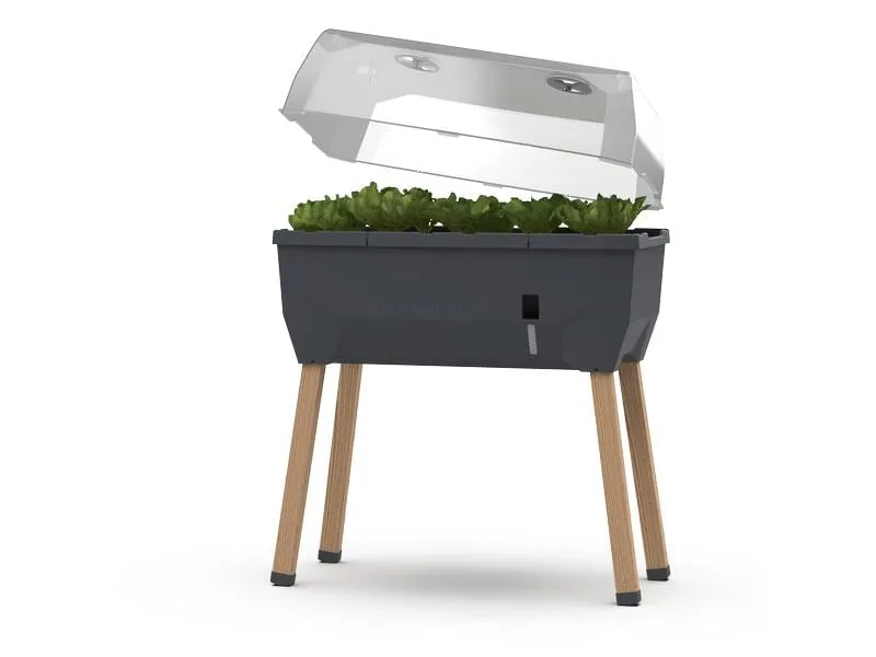 Gusta Garden Deckel zu SAMMY SALAD Transparent