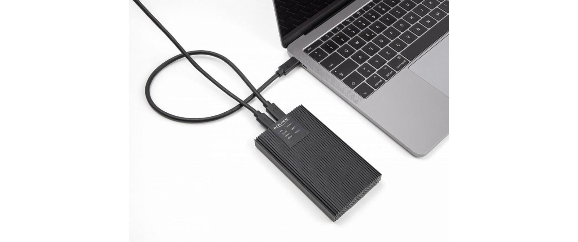 Delock Externes Gehäuse 2x M.2 NVMe PCIe SSD USB-C 20 Gbps M.2