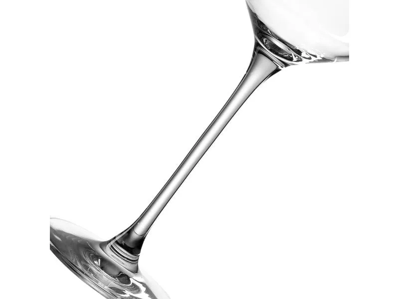 Leonardo Sektglas Puccini 280 ml, 6 Stück, Transparent Leonardo Sektglas Puccini 280 ml, 6 Stück, Transparent