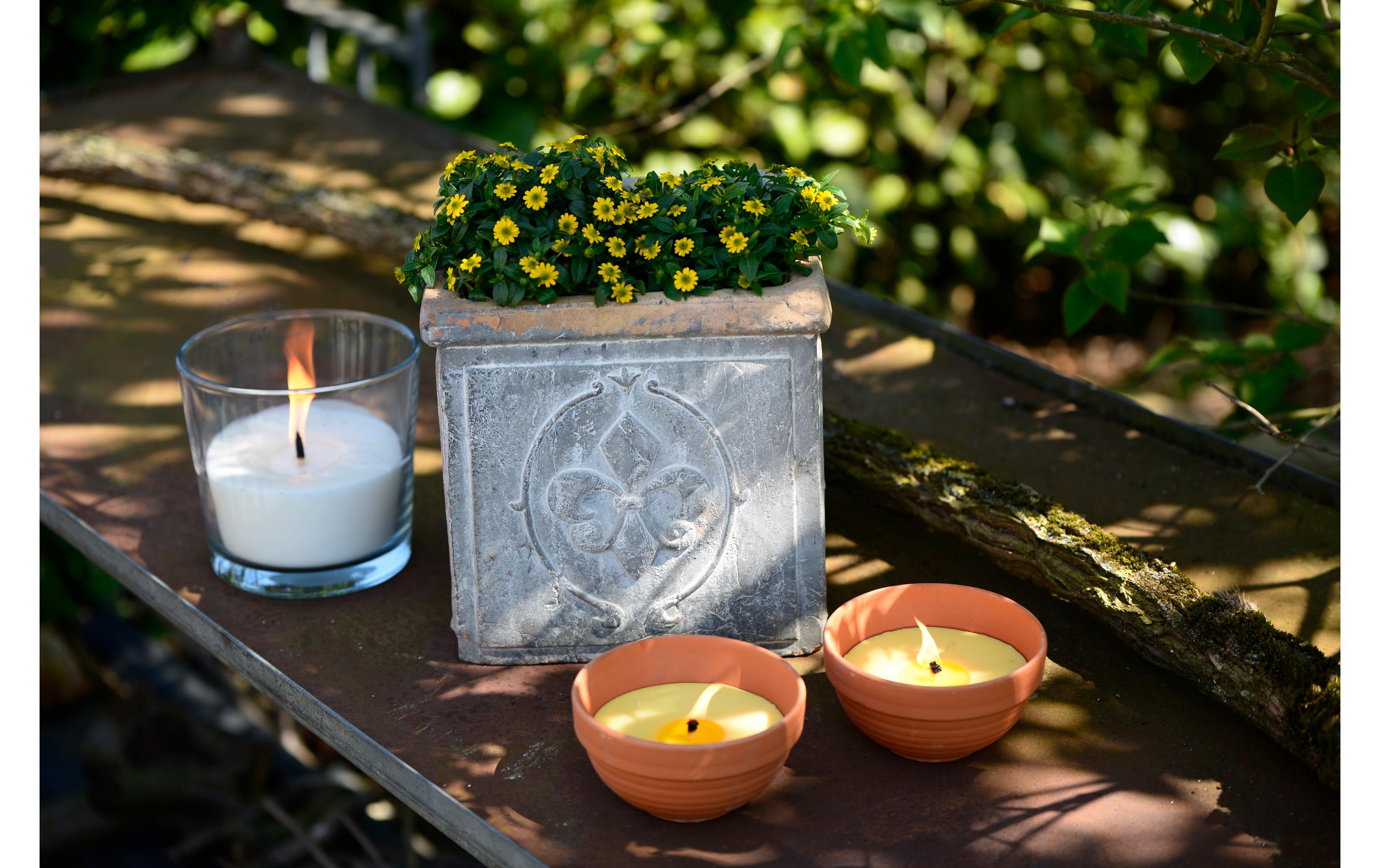 müller Kerzen Gartenkerze Citronella in Tonschale