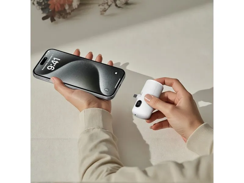 4smarts Powerbank PicoFold 5000 mAh