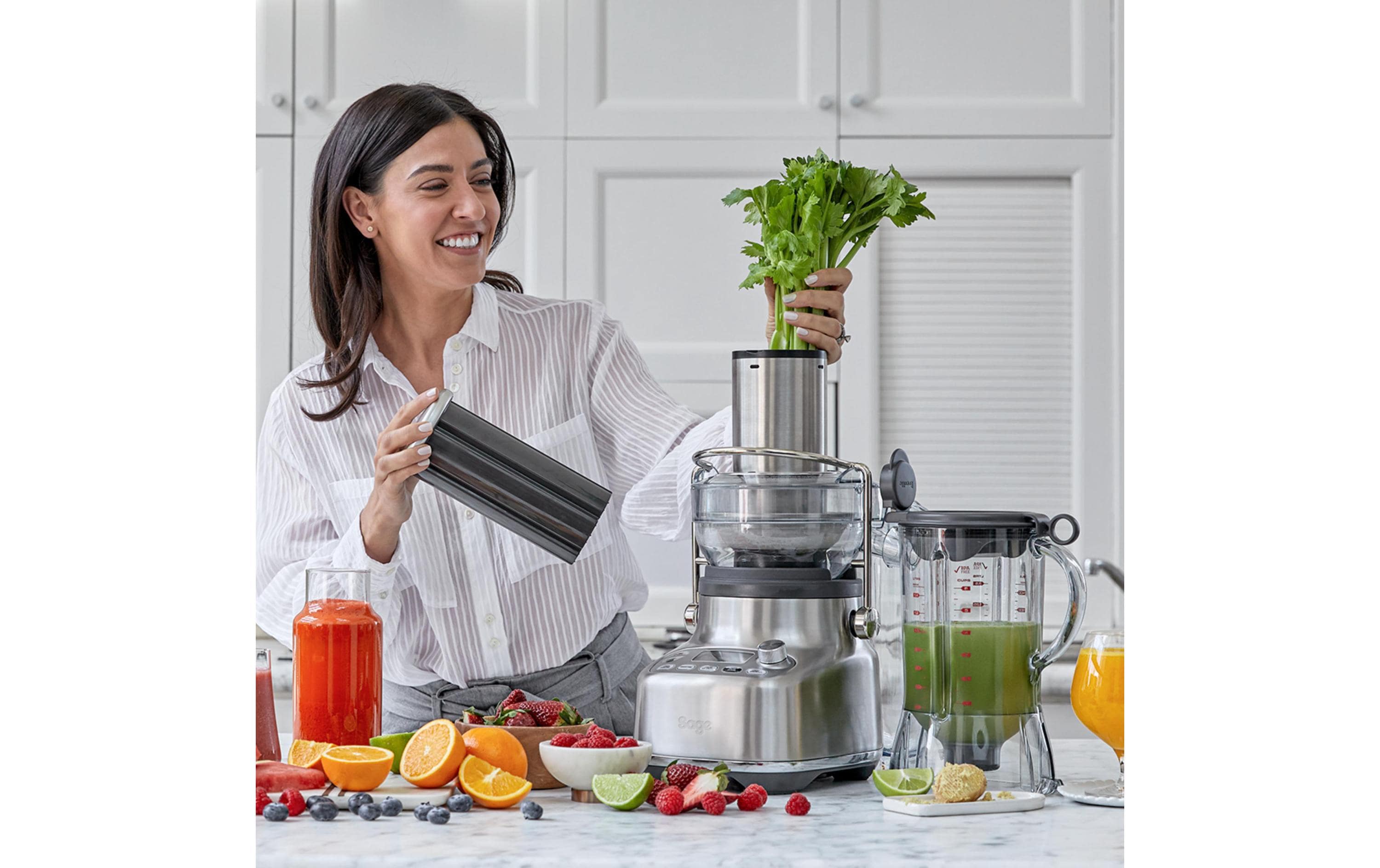 Sage Multifunktionsmixer The 3X Bluicer PRO Silber