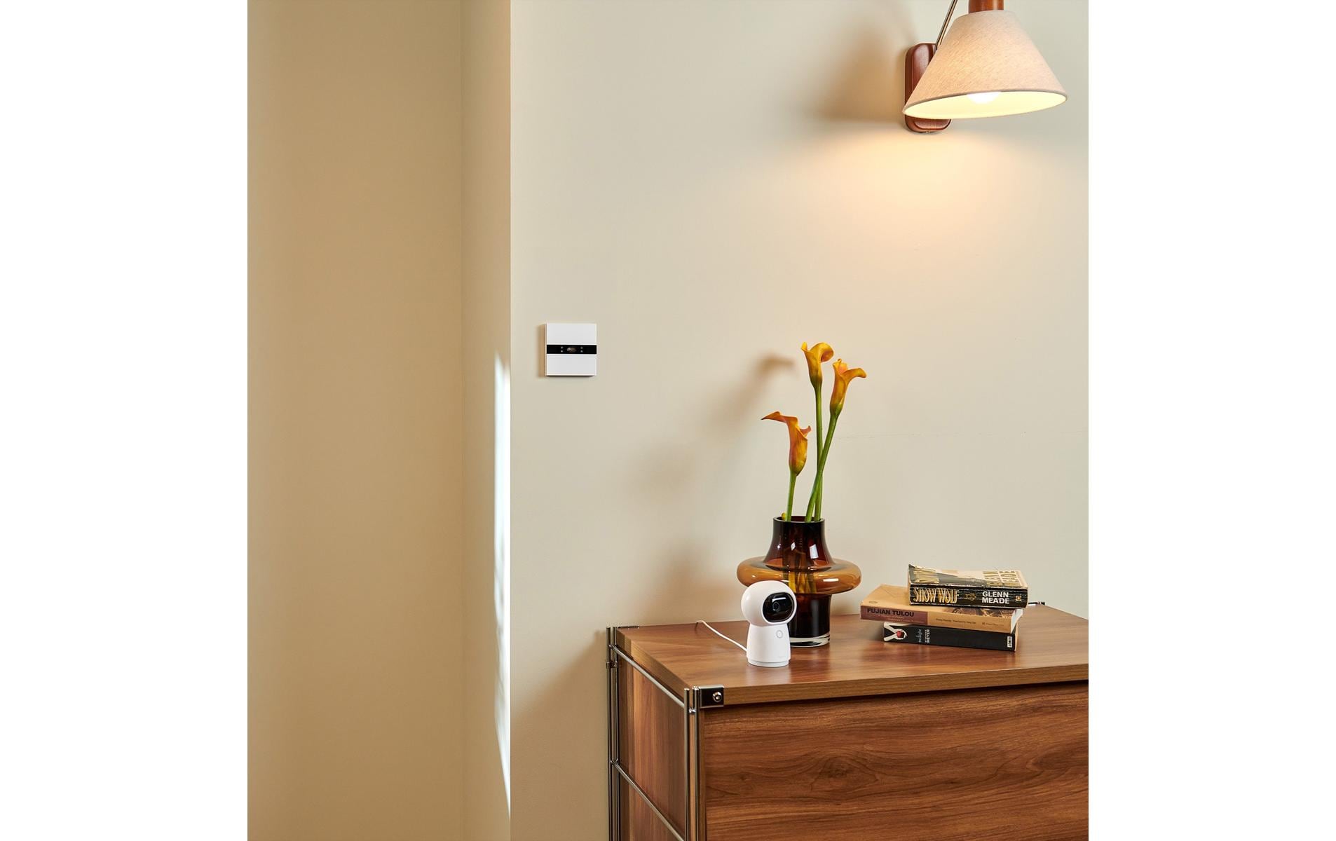 Aqara Display Switch V1