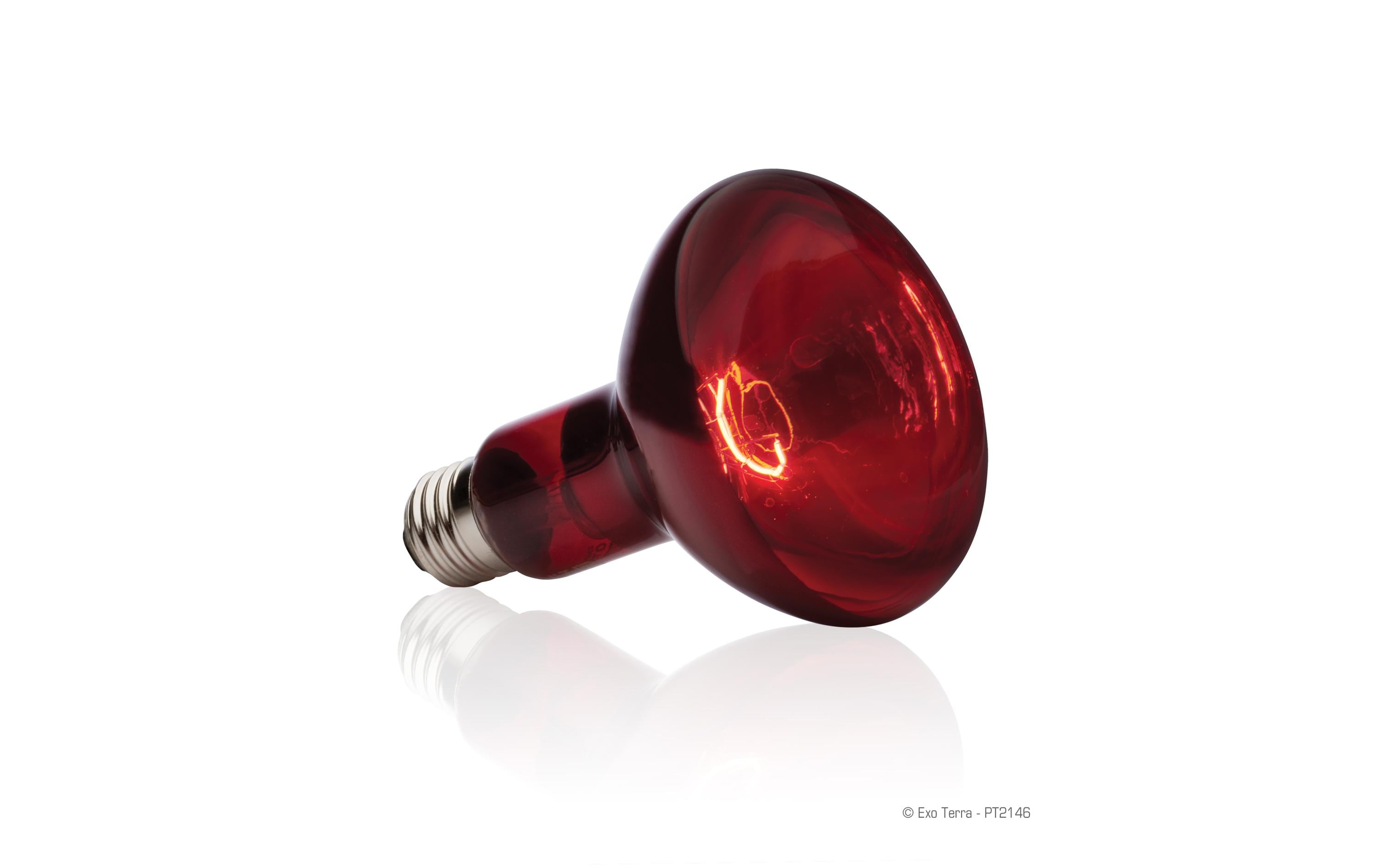 Exo Terra Terrarienlampe Infrared Basking Spot E27, R30/150W Exo Terra Terrarienlampe Infrared Basking Spot E27, R30/150W