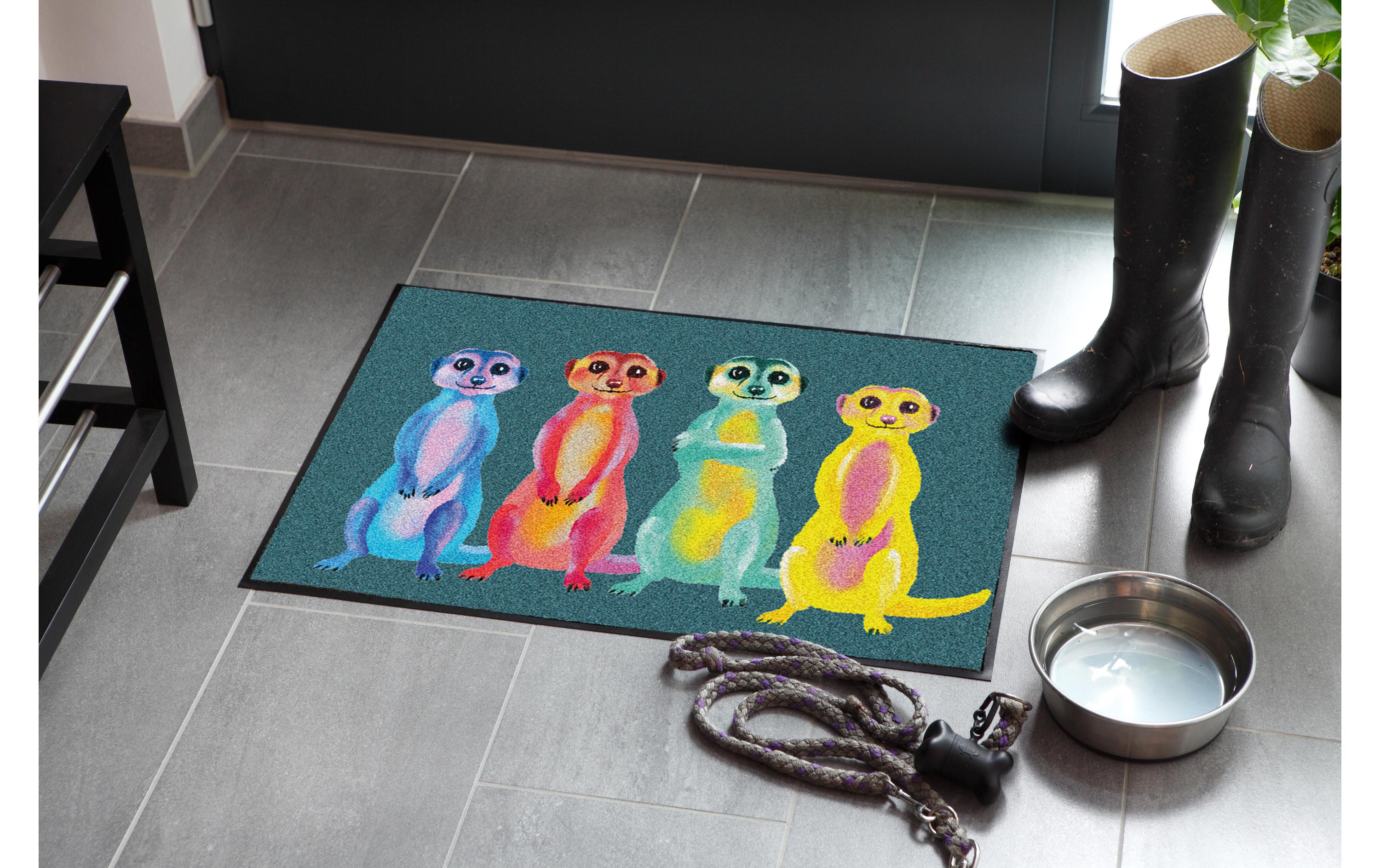 Salonlöwe Fussmatte Rainbow Meerkats 50 cm x 75 cm