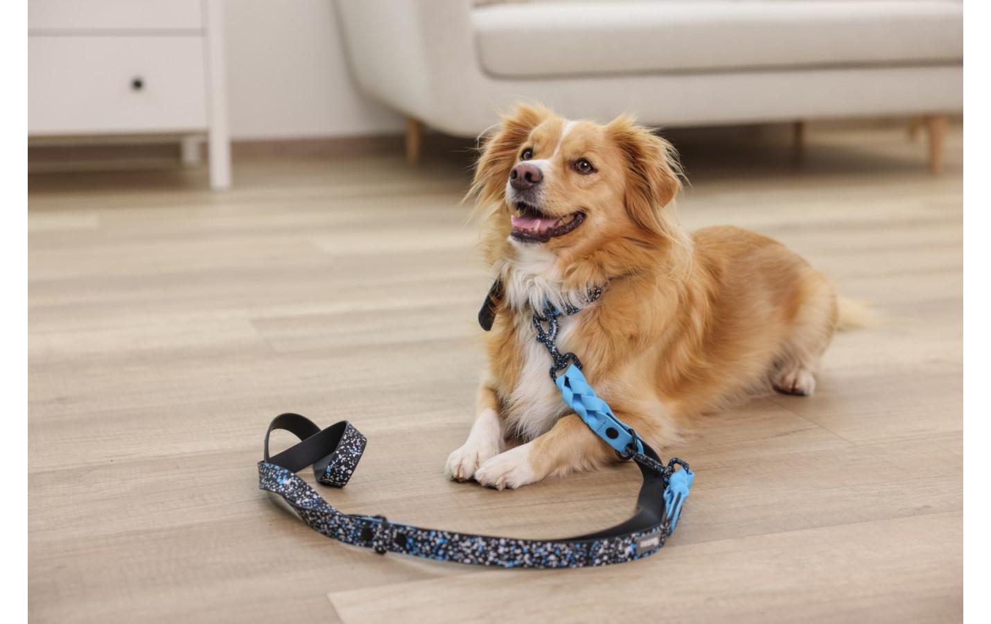 Kerbl Halsband Lima 25 mm x 36 cm - 45 cm Kerbl Halsband Lima 25 mm x 36 cm - 45 cm