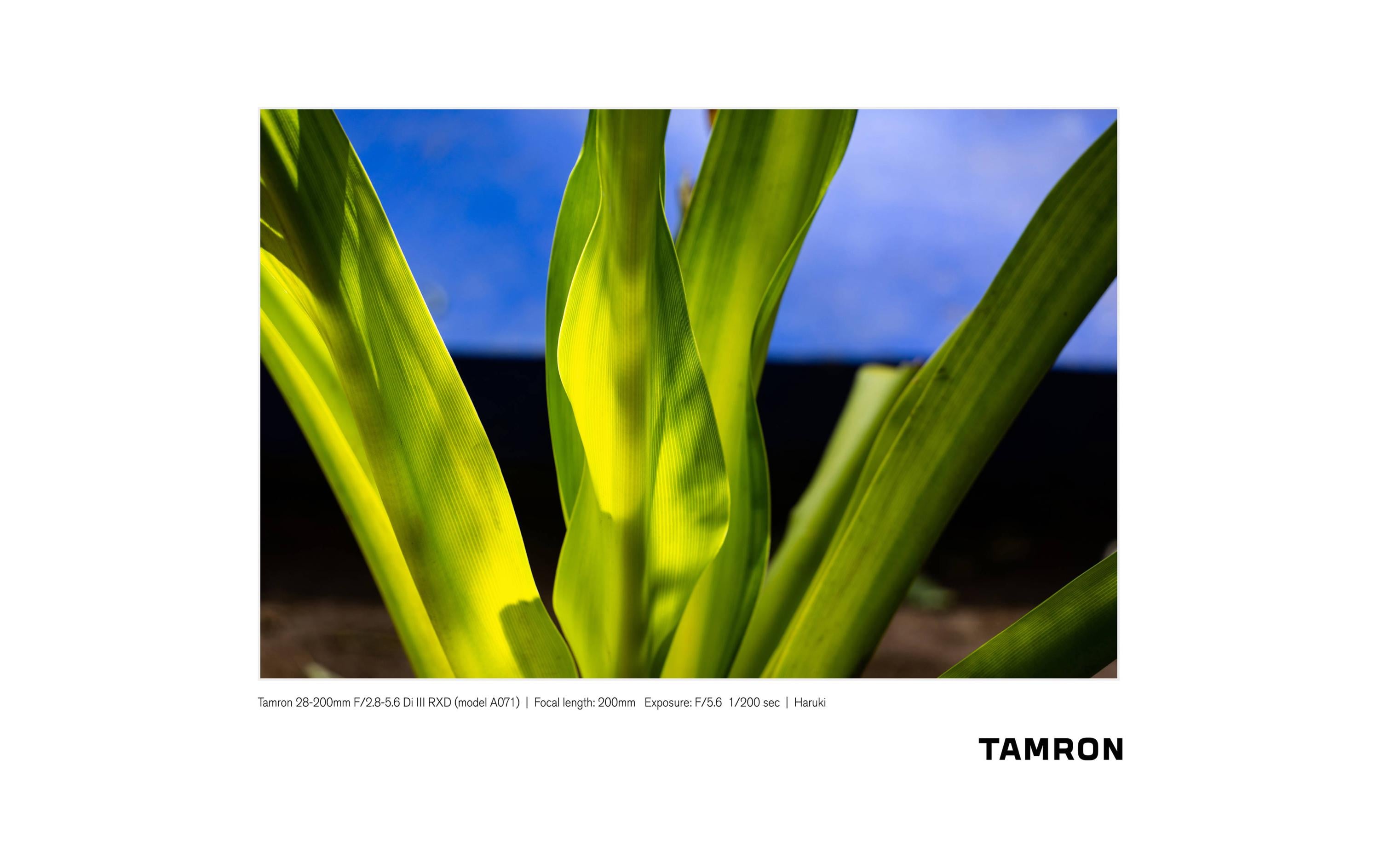 Tamron Zoomobjektiv AF 28-200mm F/2.8-5.6 Di III RXD Sony E-Mount
