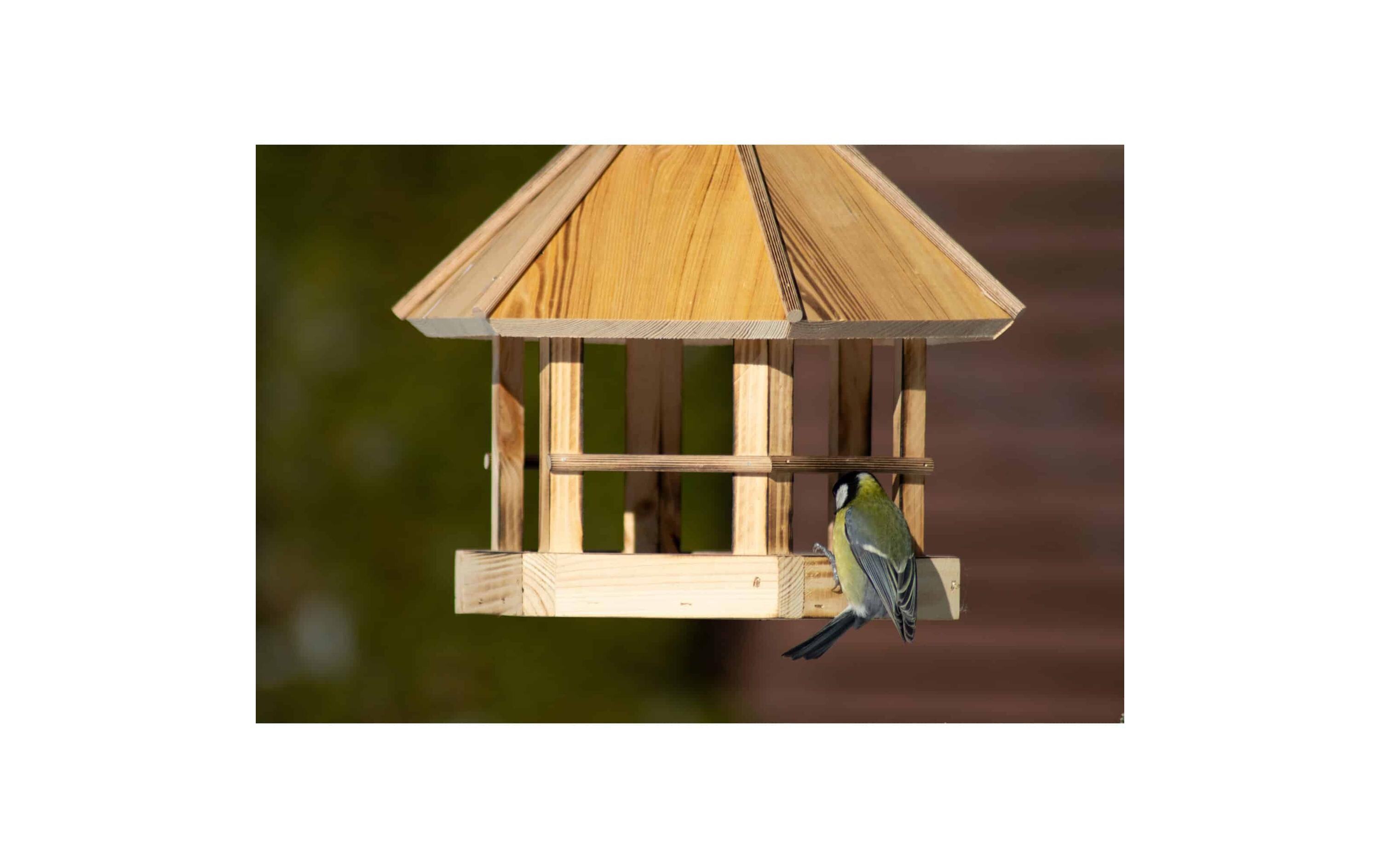 dobar green label Futterspender Caliente zum Aufhängen, 29 x 29 x 34 cm, Holz