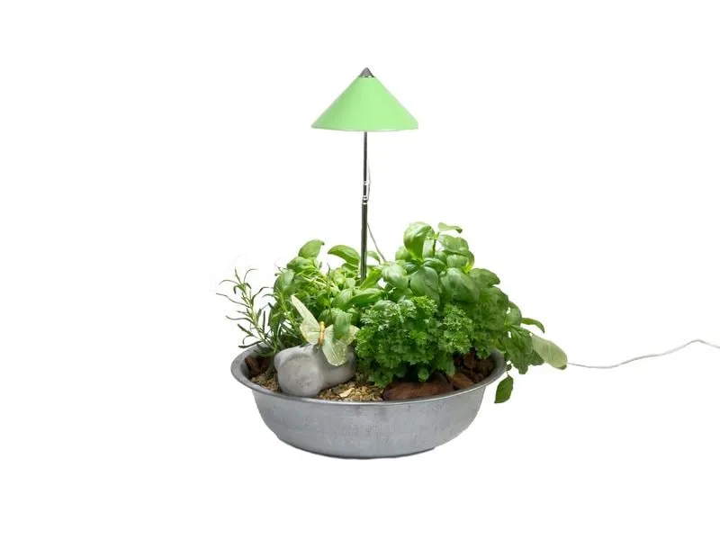 Venso Solutions Pflanzenleuchte SunLite 7 W, Grün Venso Solutions Pflanzenleuchte SunLite 7 W, Grün