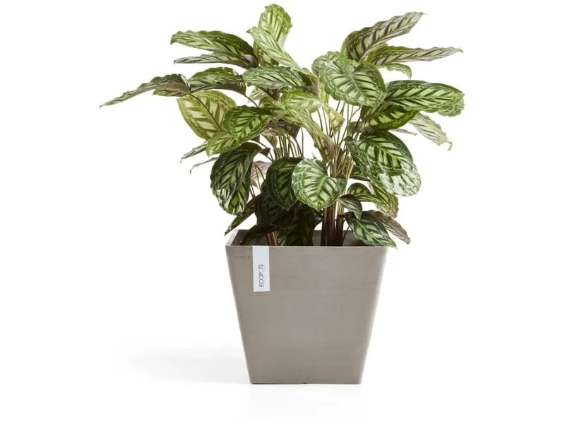 Ecopots Blumentopf Rotterdam Ø 40 cm Taupe Ecopots Blumentopf Rotterdam Ø 40 cm Taupe
