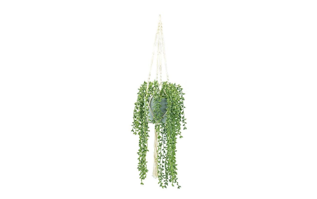 Dekomat AG Kunstpflanze Erbsenpflanze im Topf 100 cm