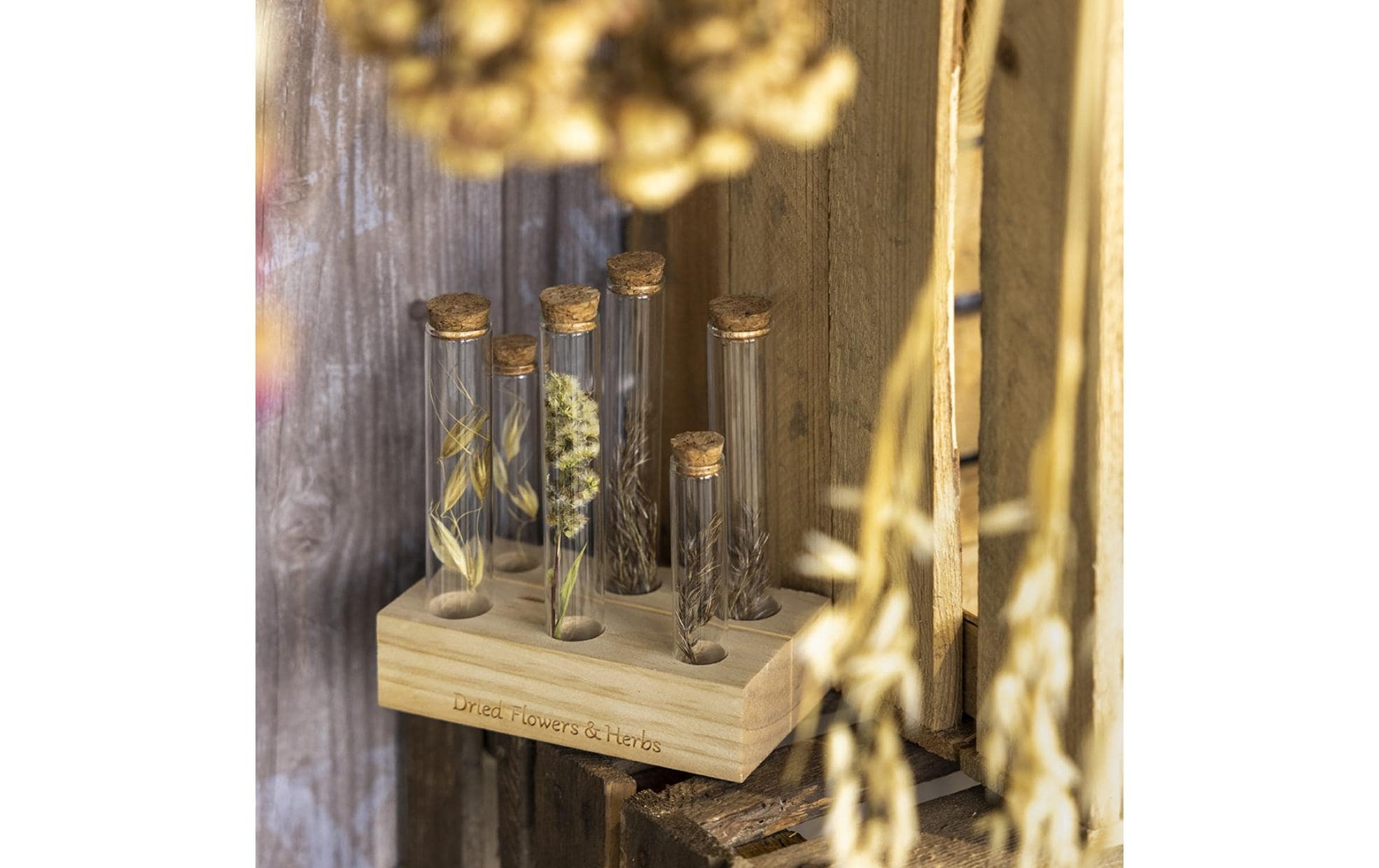 Esschert Design Vase Reagenzglas L 6 Gläser, 17.5 cm, Nature/Transparent