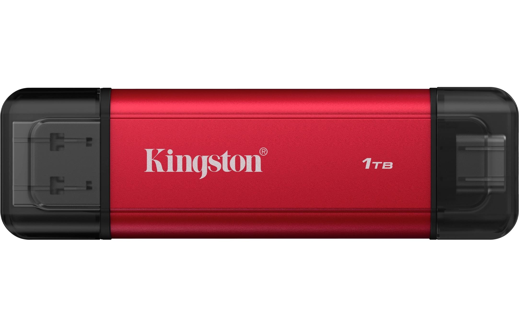 Kingston Externe SSD Dual Portable 1000 GB