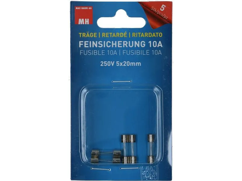 Max Hauri Schmelzsicherung 5 x 20 mm Träge 10 A, 5 Stück Max Hauri Schmelzsicherung 5 x 20 mm Träge 10 A, 5 Stück