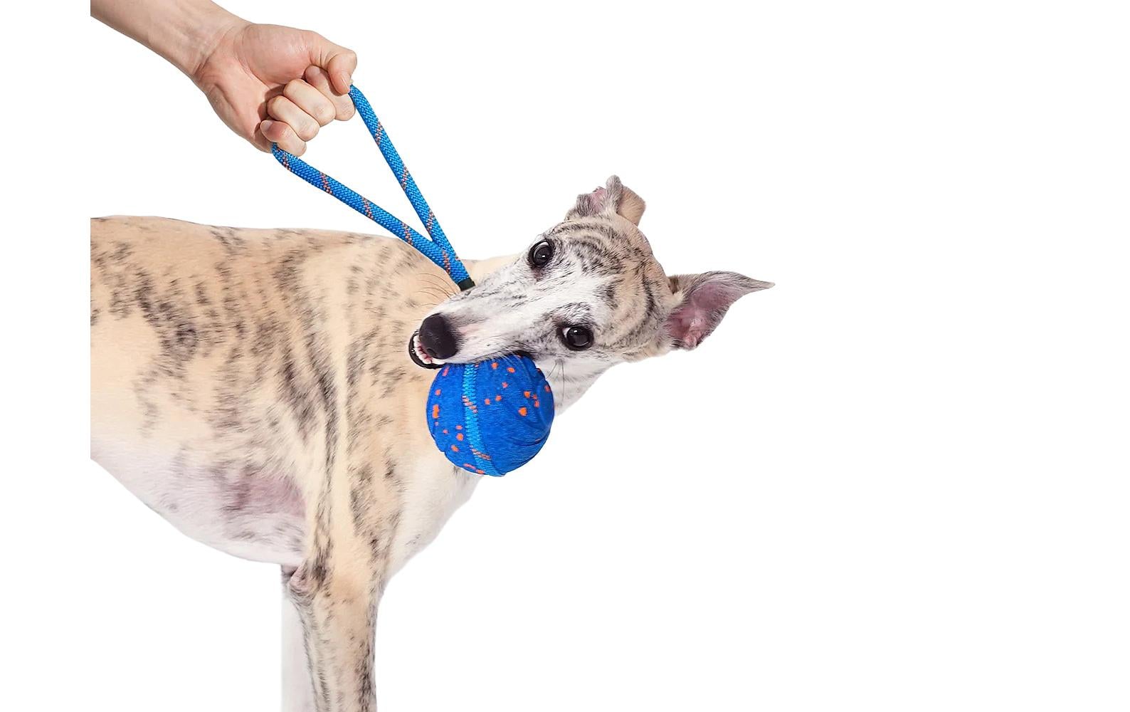 Cheerble Hunde-Spielzeug Wicked Ball Air Rope