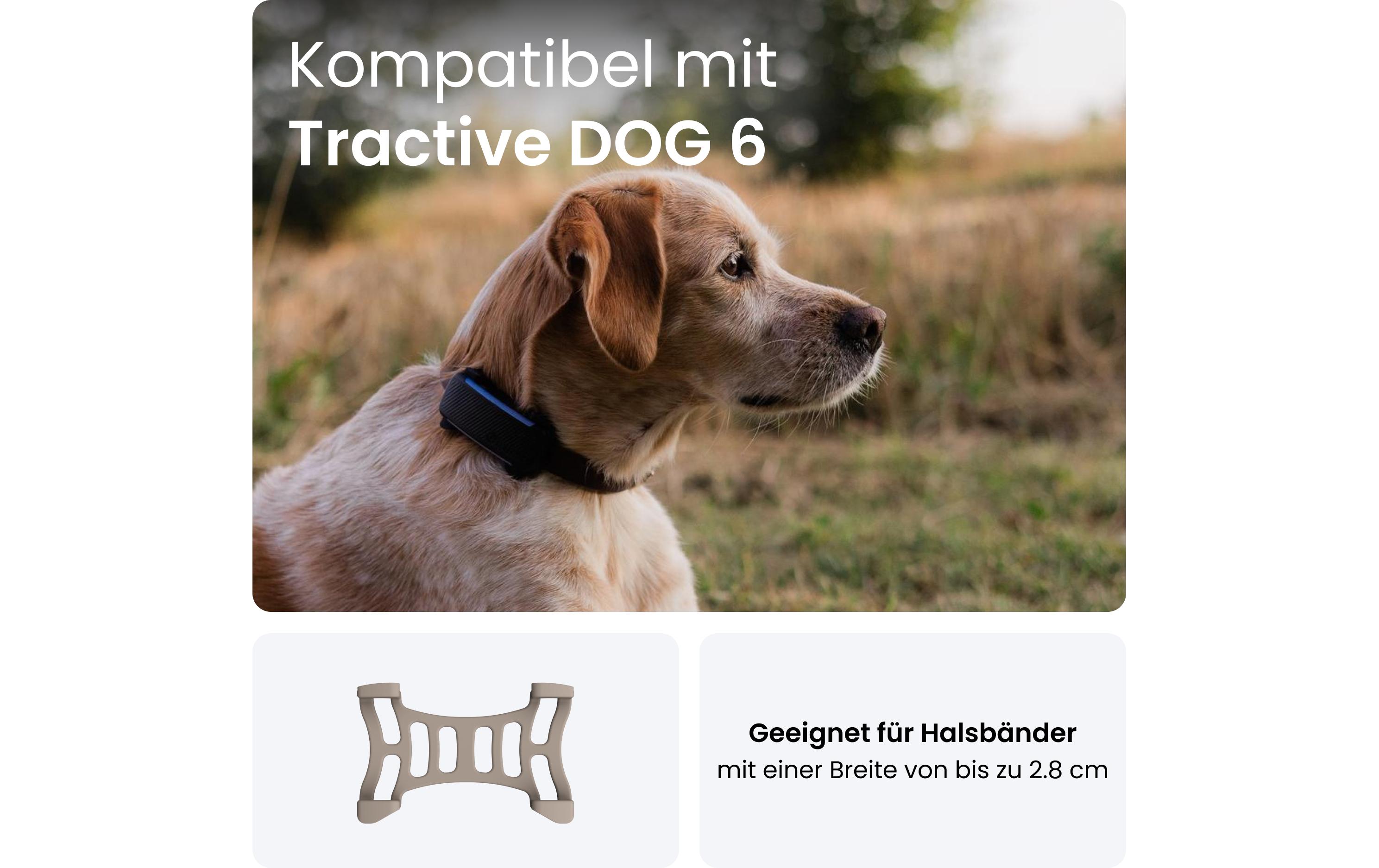 tractive GPS-Tracker Dog 6 Klammern braun 2 Stück