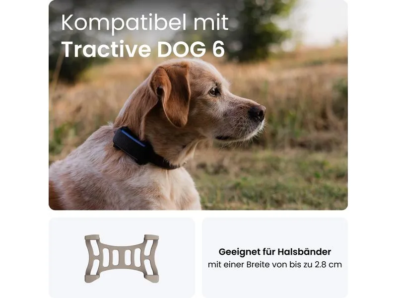 tractive GPS-Tracker Dog 6 Klammern braun 2 Stück tractive GPS-Tracker Dog 6 Klammern braun 2 Stück