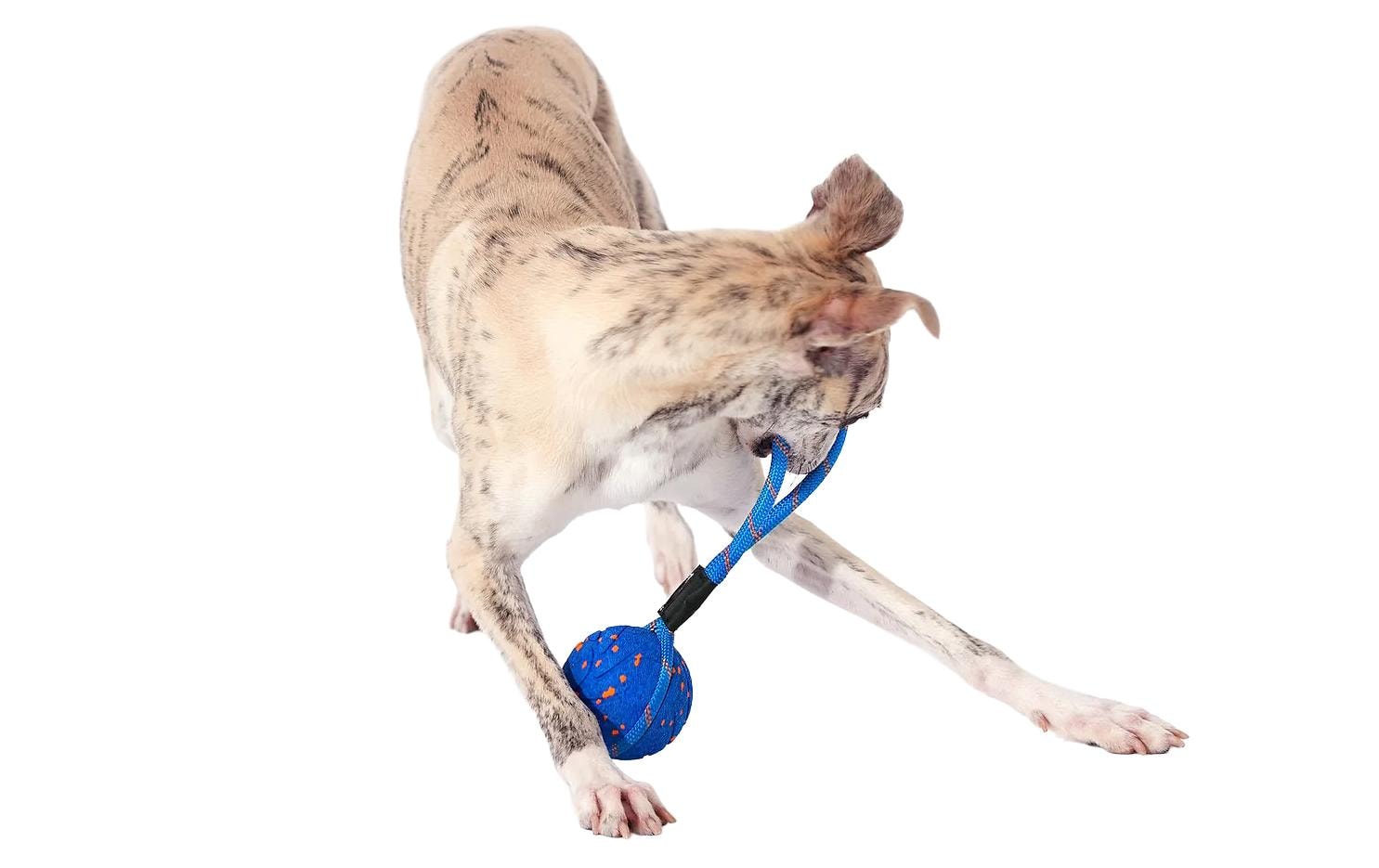 Cheerble Hunde-Spielzeug Wicked Ball Air Rope Cheerble Hunde-Spielzeug Wicked Ball Air Rope