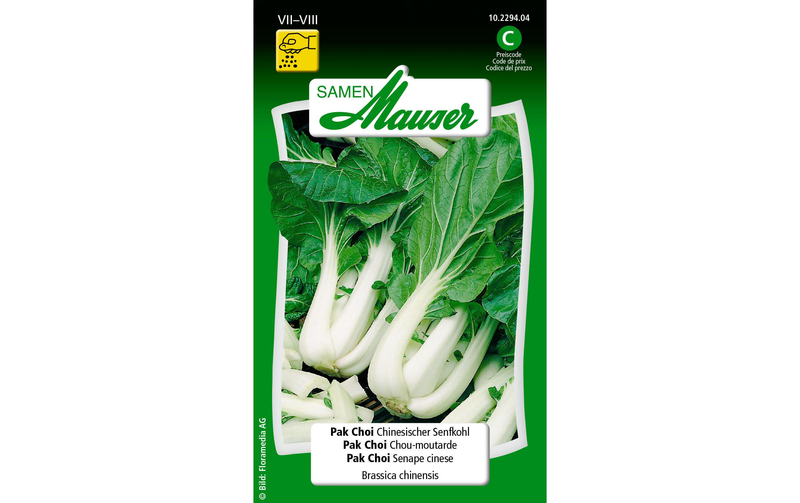 Samen Mauser Samen Pak Choi Chinesischer Senfkohl