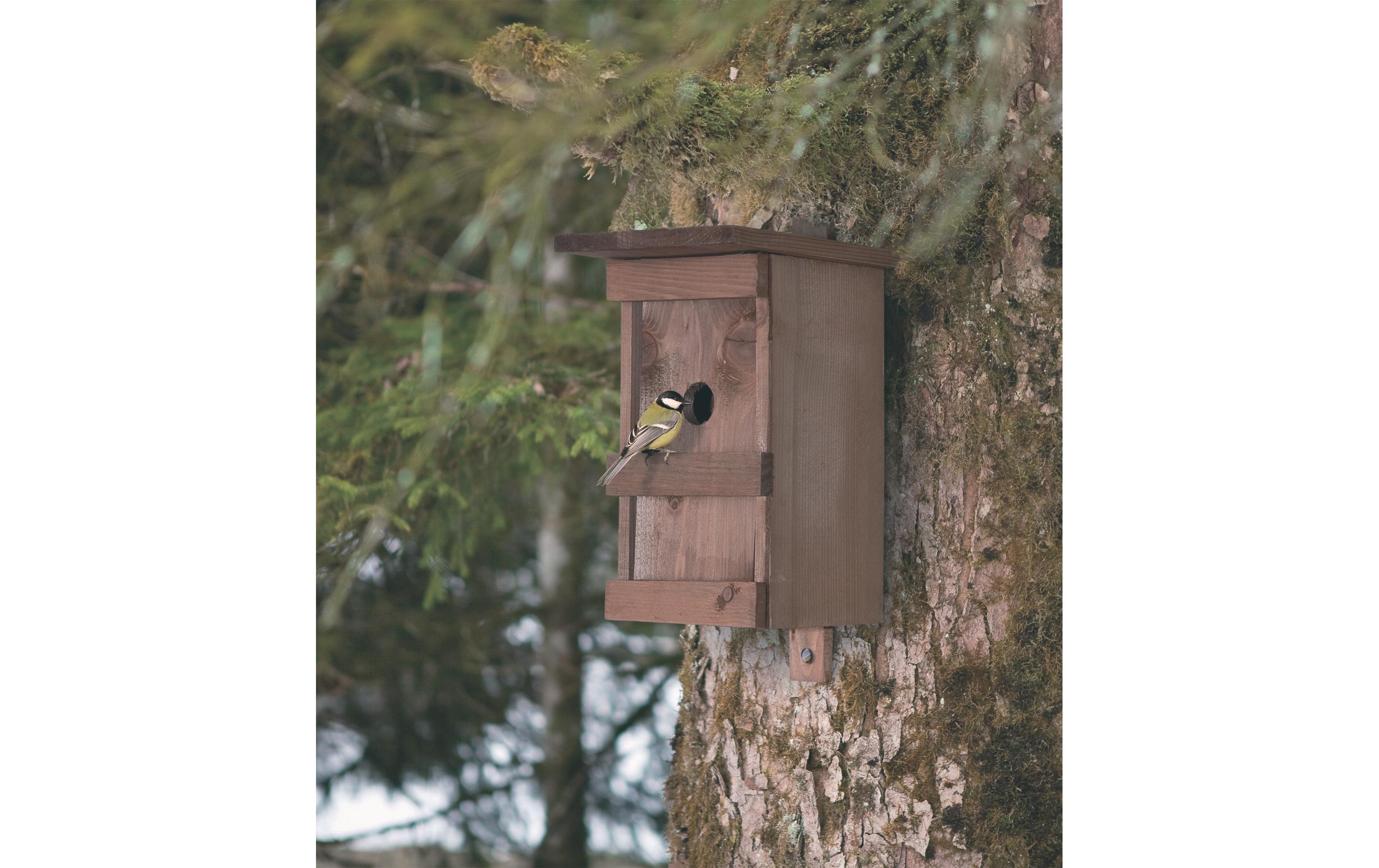 Windhager Nistkasten Birdy Windhager Nistkasten Birdy