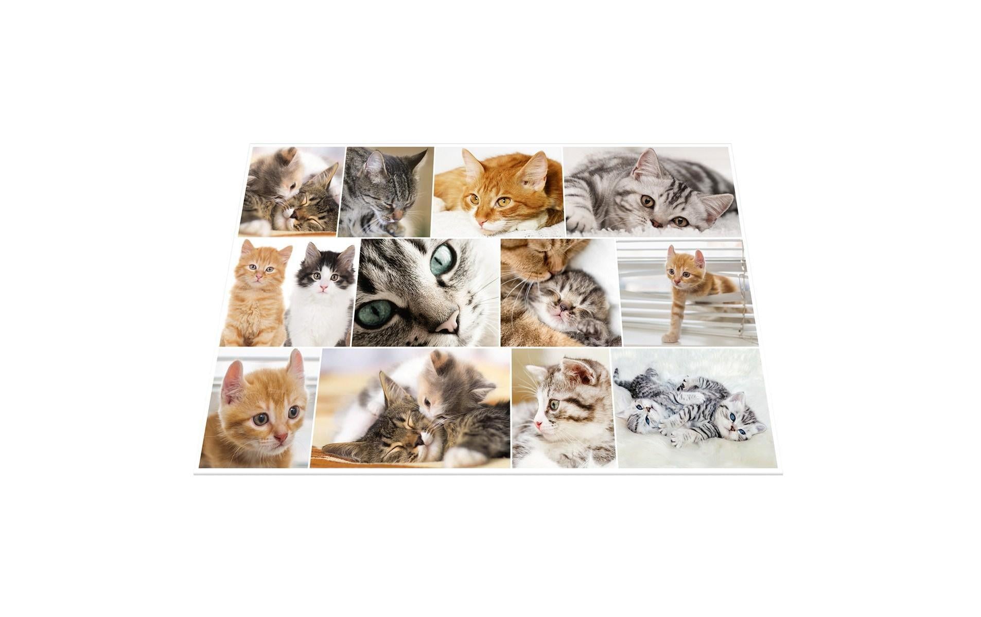 HERMA Schreibunterlage Katzen 55 x 35 cm HERMA Schreibunterlage Katzen 55 x 35 cm
