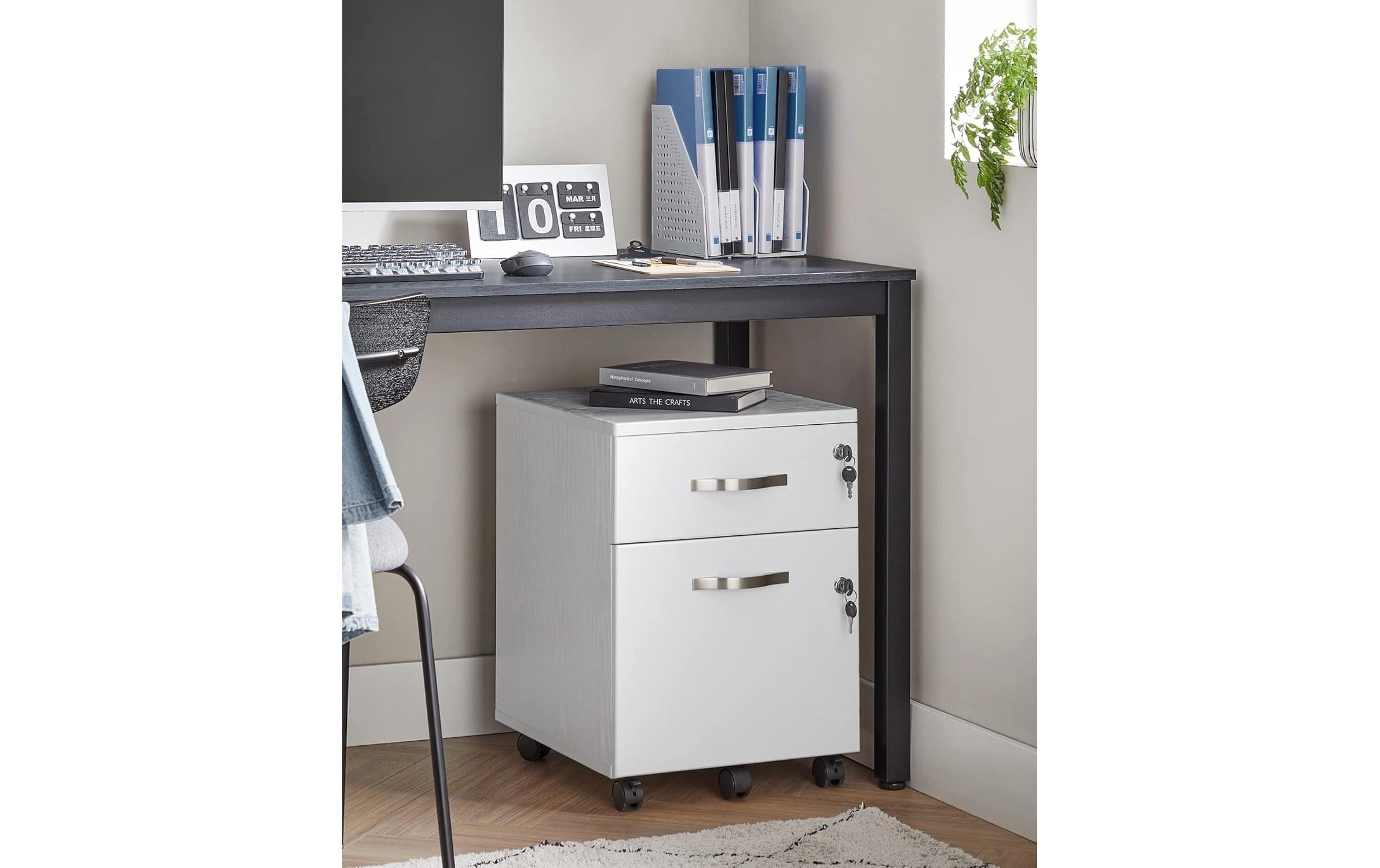 VASAGLE Aktenschrank mit zwei Schubladen