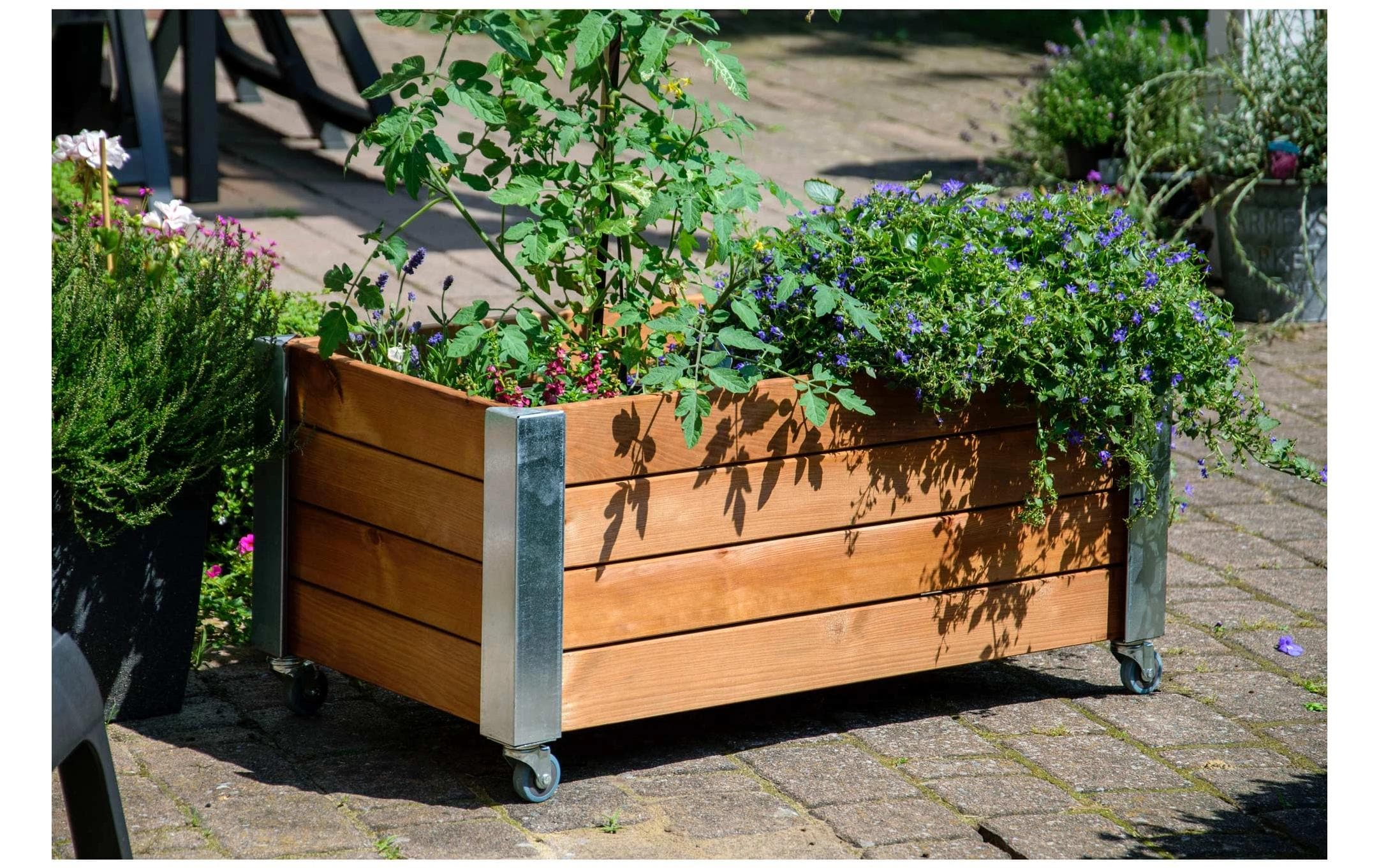 dobar Hochbeet «Rollfi» aus Holz mit Rollen