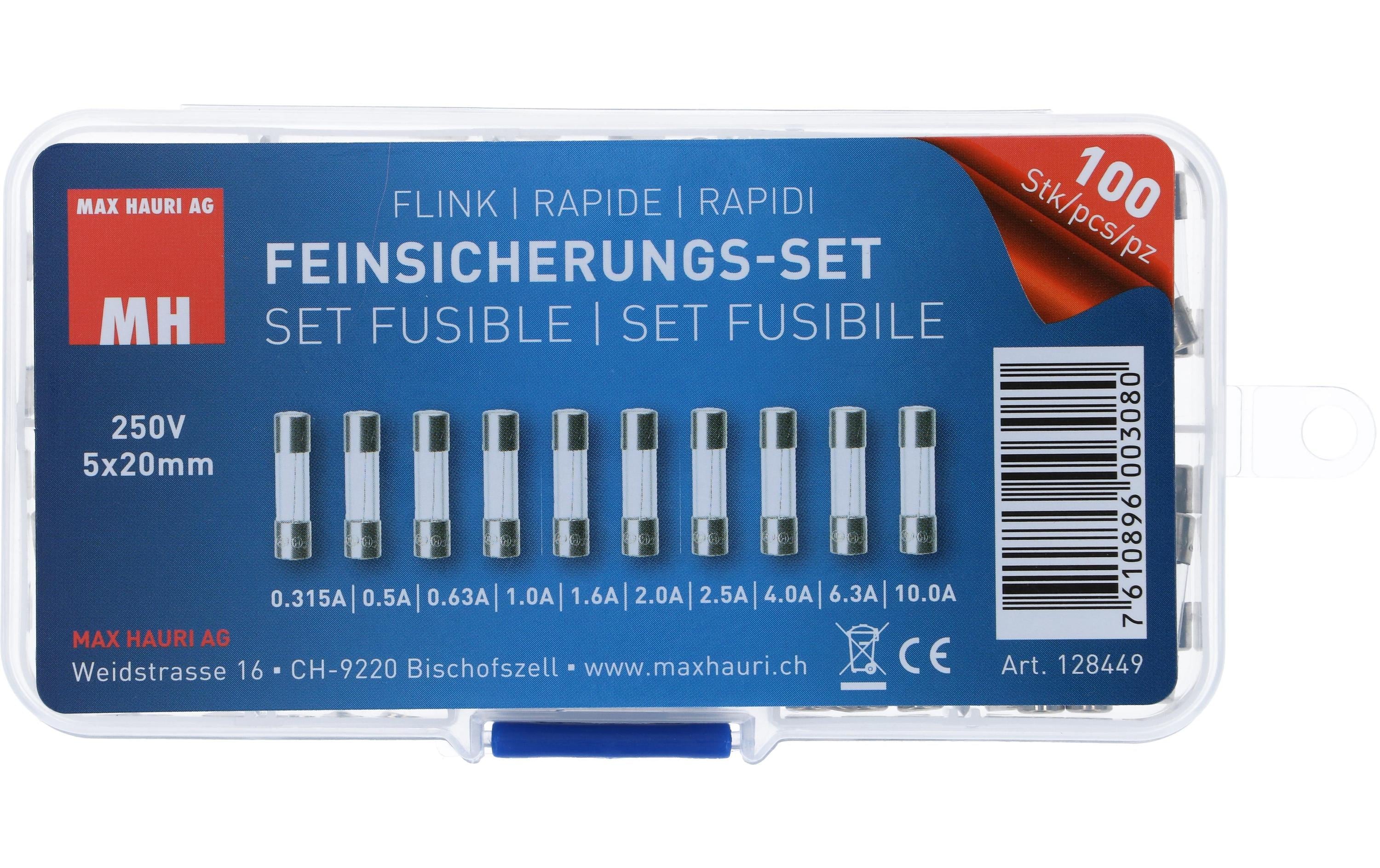 Max Hauri Schmelzsicherung Set 5 x 20 mm Flink, 100 Stück